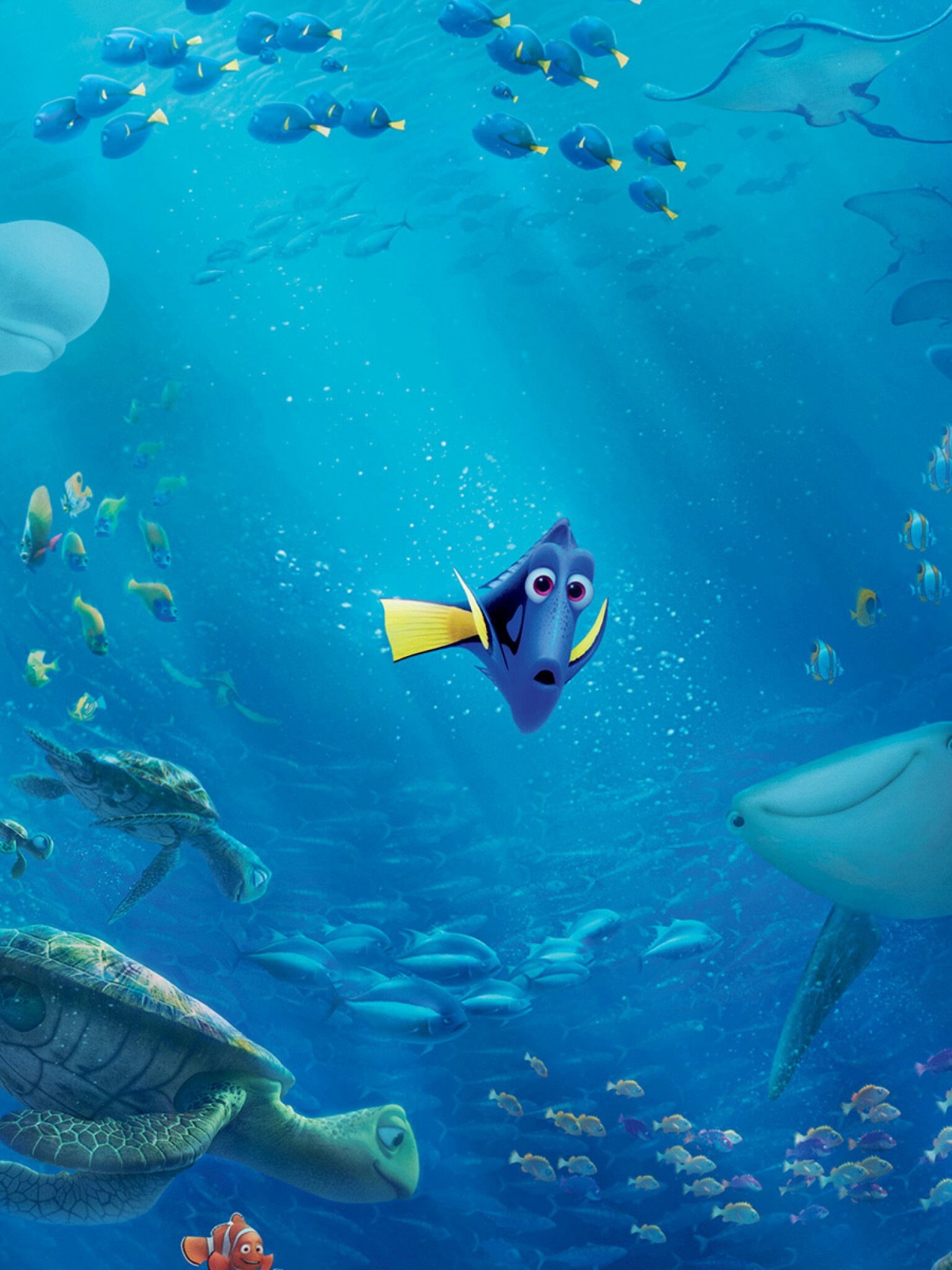 Finding Dory, HD wallpaper, Desktop and mobile, Stunning resolution, 1540x2050 HD Phone