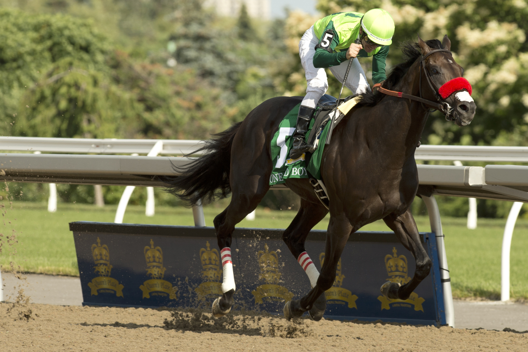 Horse Racing, Dual breed broadcasts, Woodbine Entertainment, Horse racing partnership, 2050x1370 HD Desktop