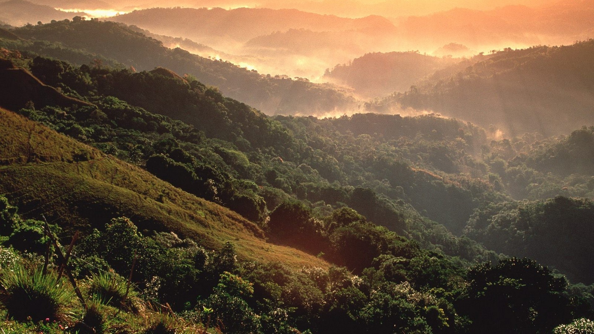 Puerto Rico, Rainforest wallpaper, Mountains, 1920x1080 Full HD Desktop