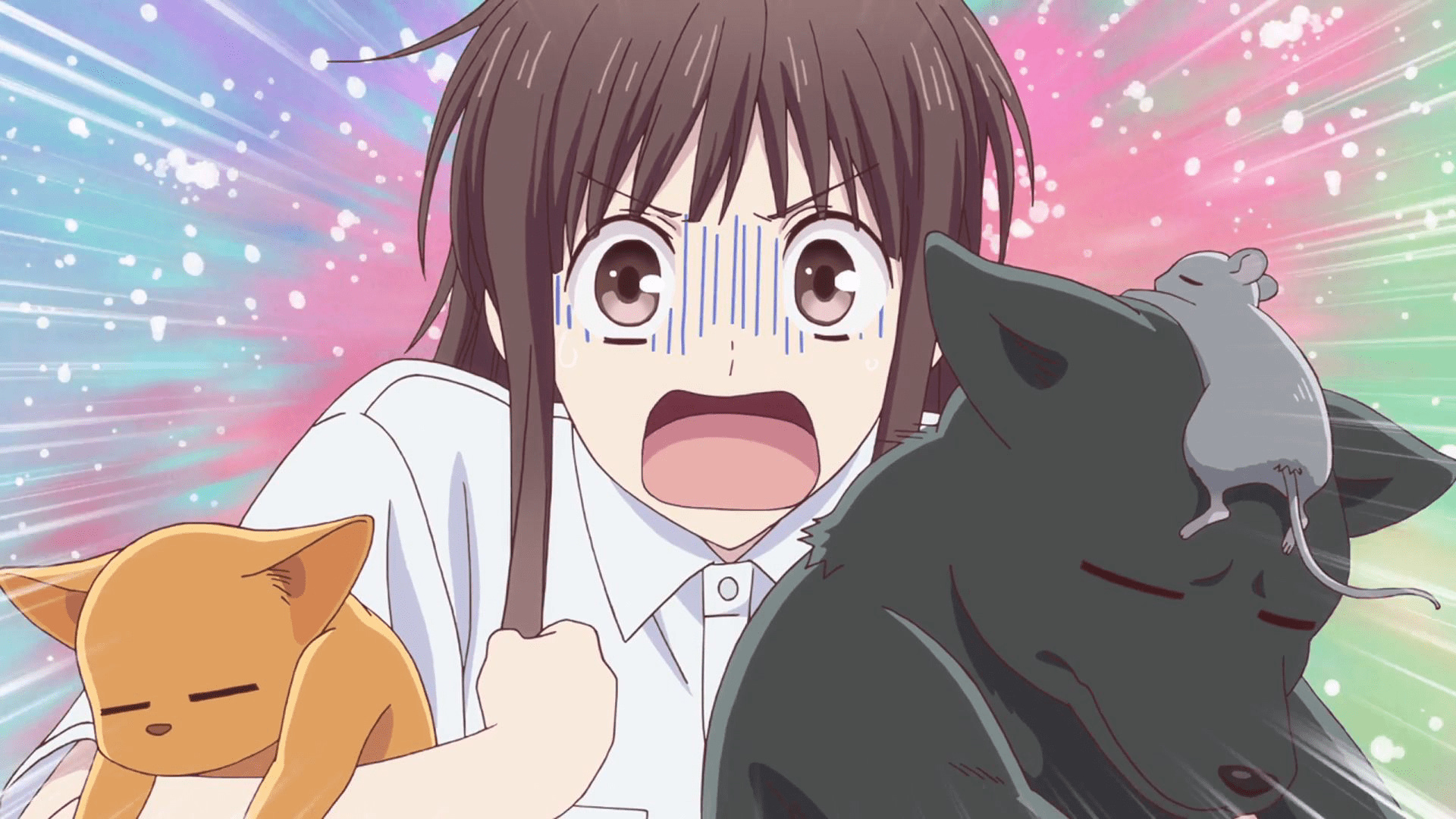 Fruits Basket: The Final, Anime adaptation, Emotional journey, Heartwarming storytelling, 1920x1080 Full HD Desktop