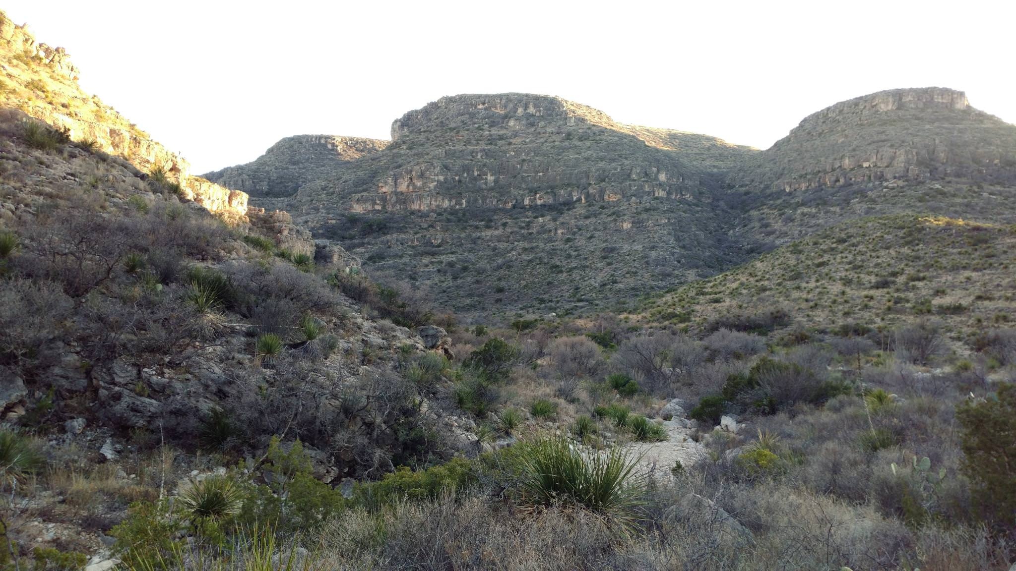 Carlsbad Caverns, National Park, Zoey Anderson, Wallpapers, 2050x1160 HD Desktop