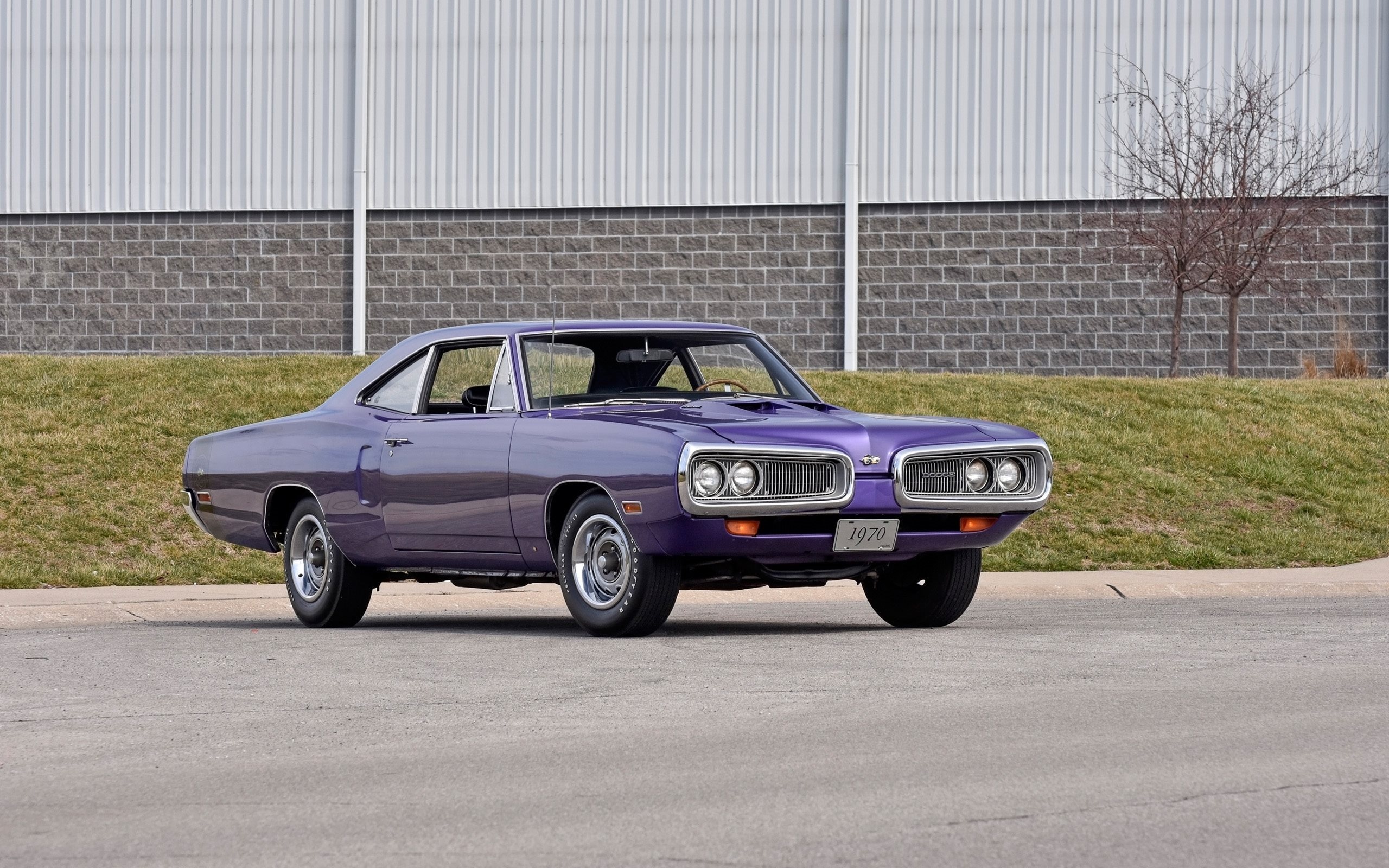 1970 Model, Dodge Coronet Wallpaper, 2560x1600 HD Desktop