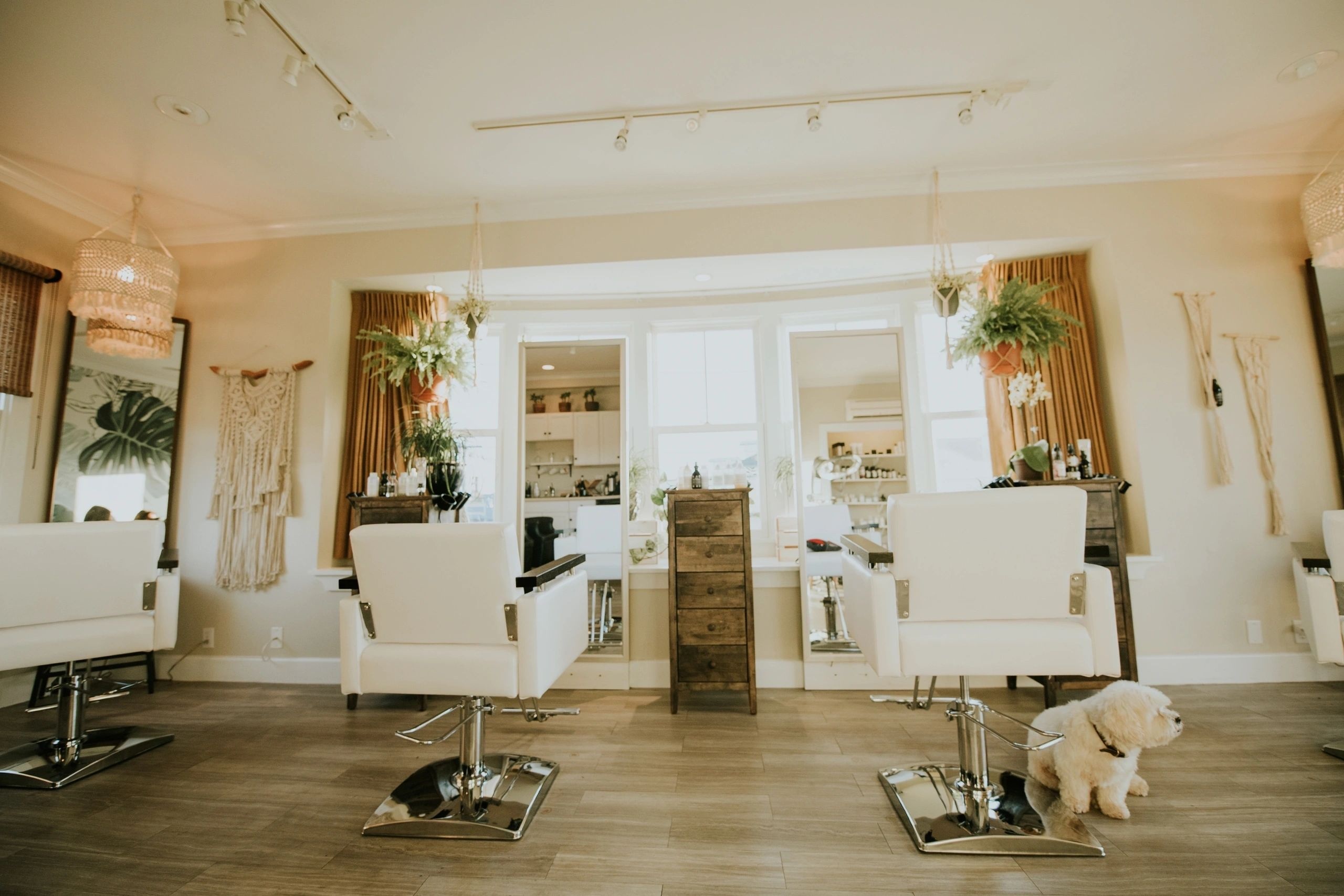 Isla James Salon, Hair Salon Wallpaper, 2560x1710 HD Desktop