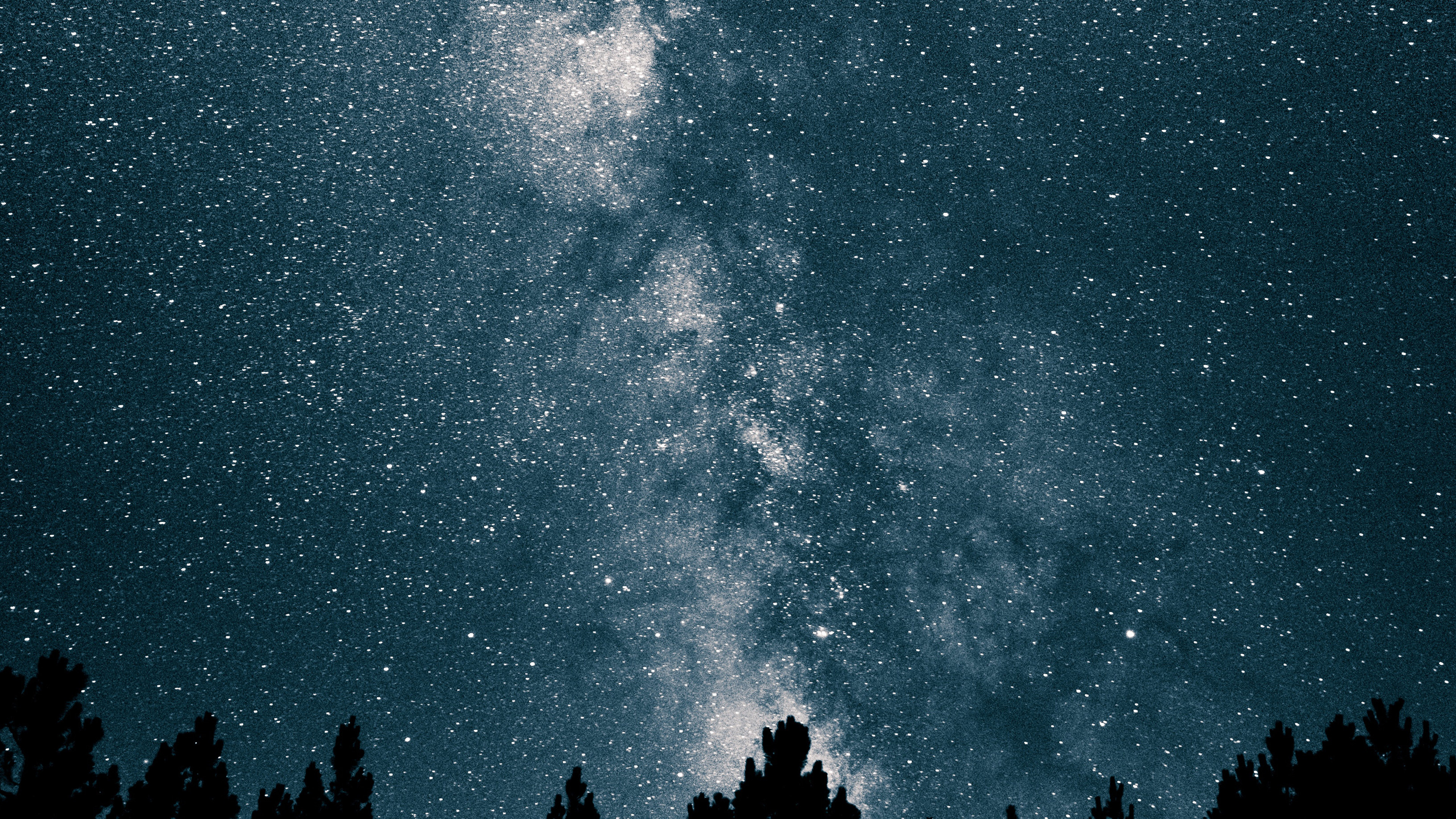 Milky Way galaxy, pine tree silhouettes, starry night sky, 4K Desktop wallpaper