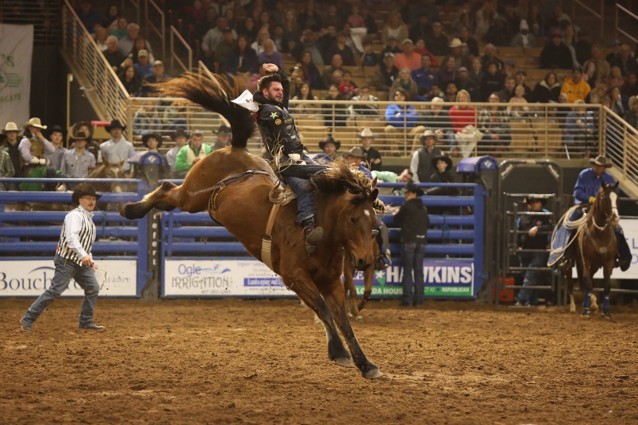 Silver Spurs Rodeo, Kissimmee, East of Mississippi, Rodeo, 2050x1370 HD Desktop