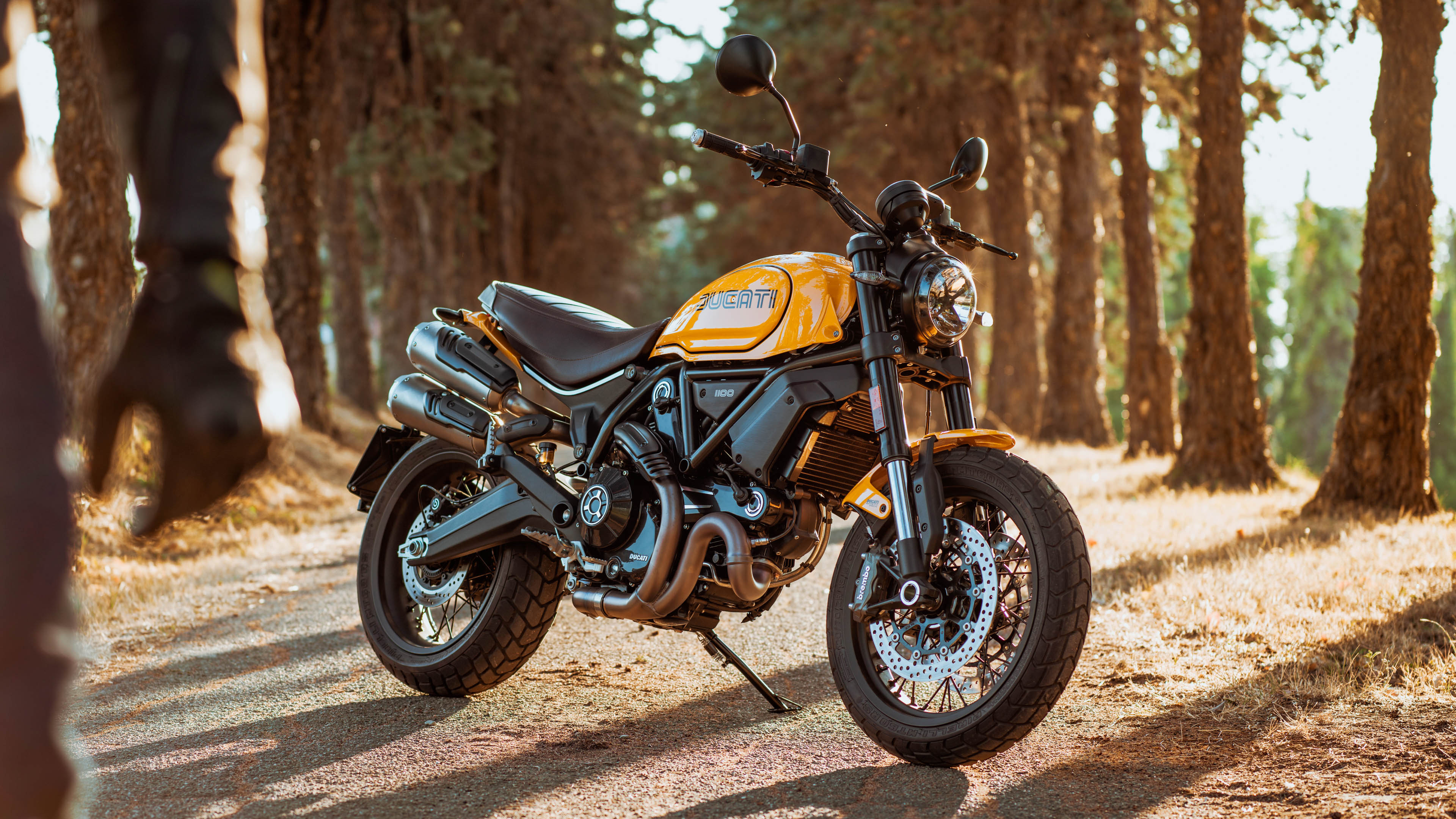 Tribute Pro, Ducati Scrambler 1100 Wallpaper, 3840x2160 4K Desktop