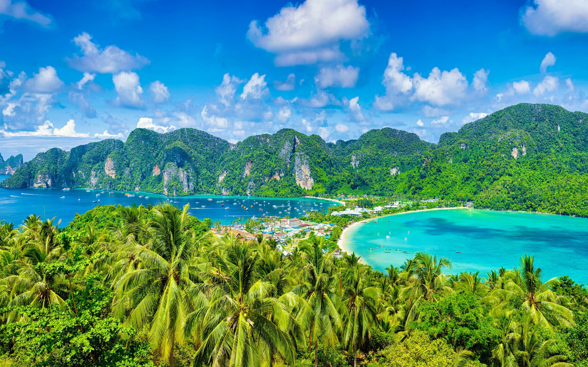 Phi Phi Islands, Palm trees, Summer travel, 1920x1200 HD Desktop