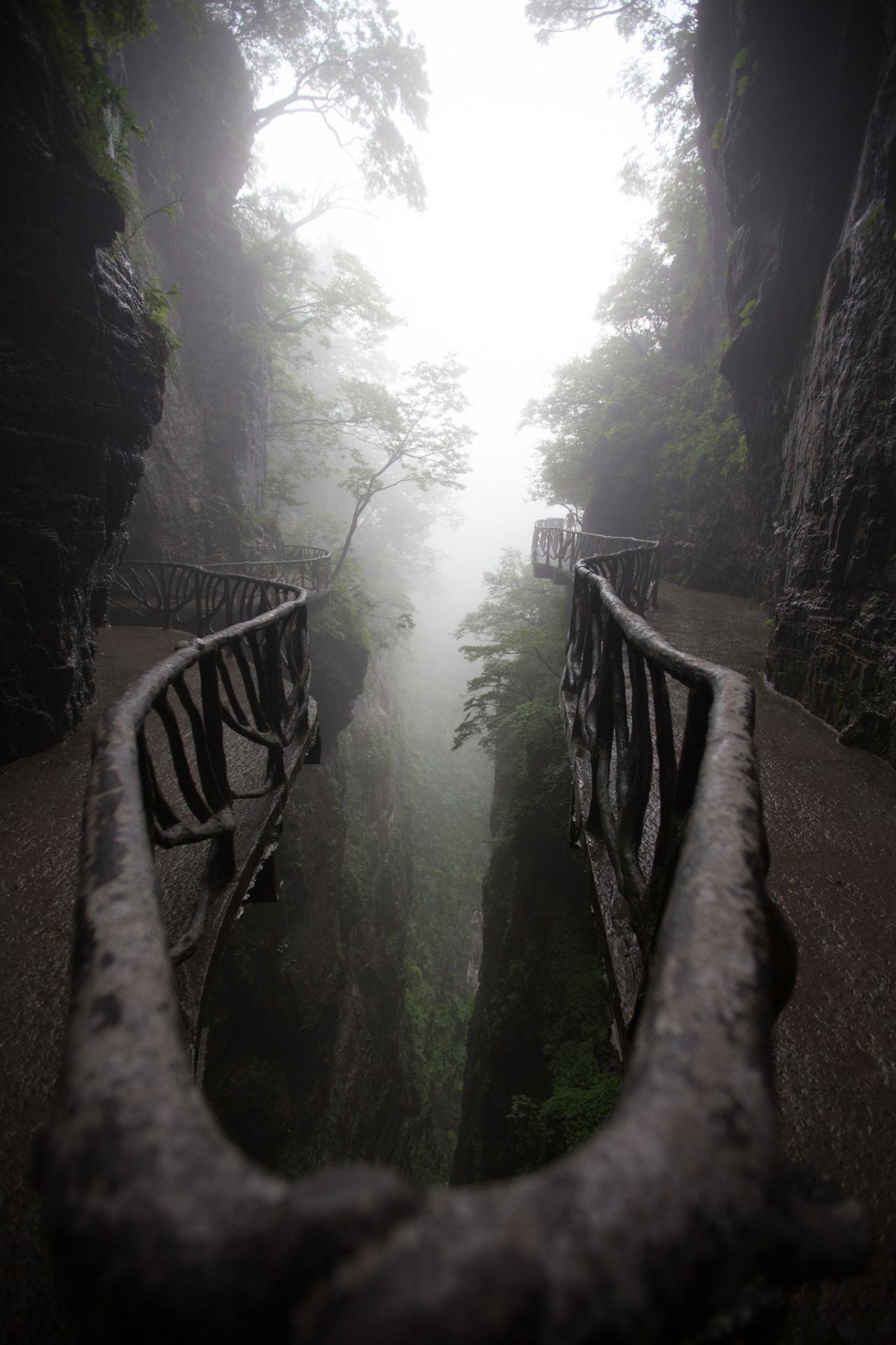 Zhangjiajie Travels, Zhangjiajie national forest park, Ideas, National forest, 1280x1920 HD Phone