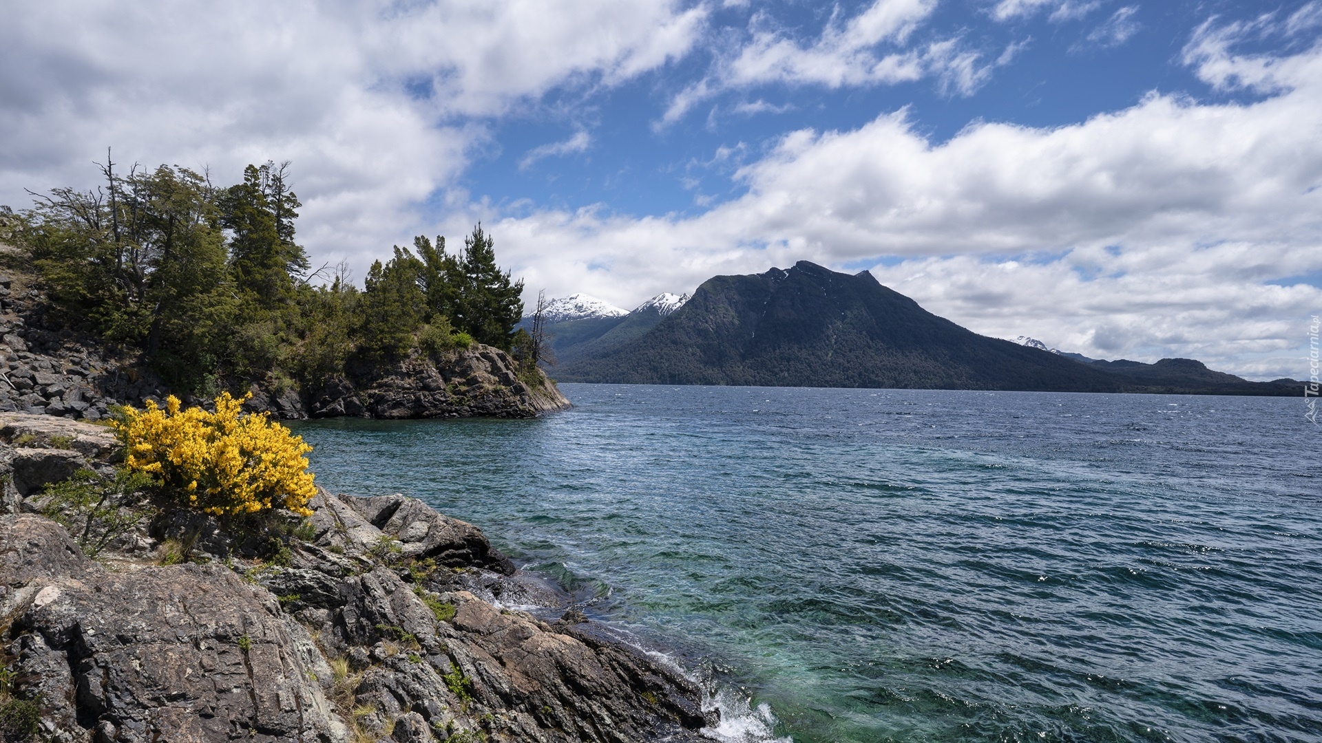 Nahuel Huapi nature, Argentinian park, Pristine wilderness, Natural paradise, 1920x1080 Full HD Desktop