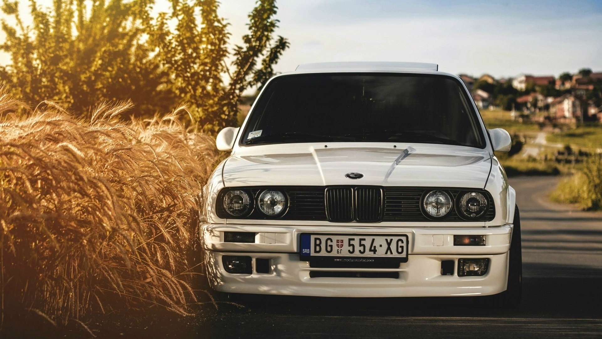 white BMW E30 M3, BG 554-XG license plate, golden wheat field, Full HD Desktop wallpaper