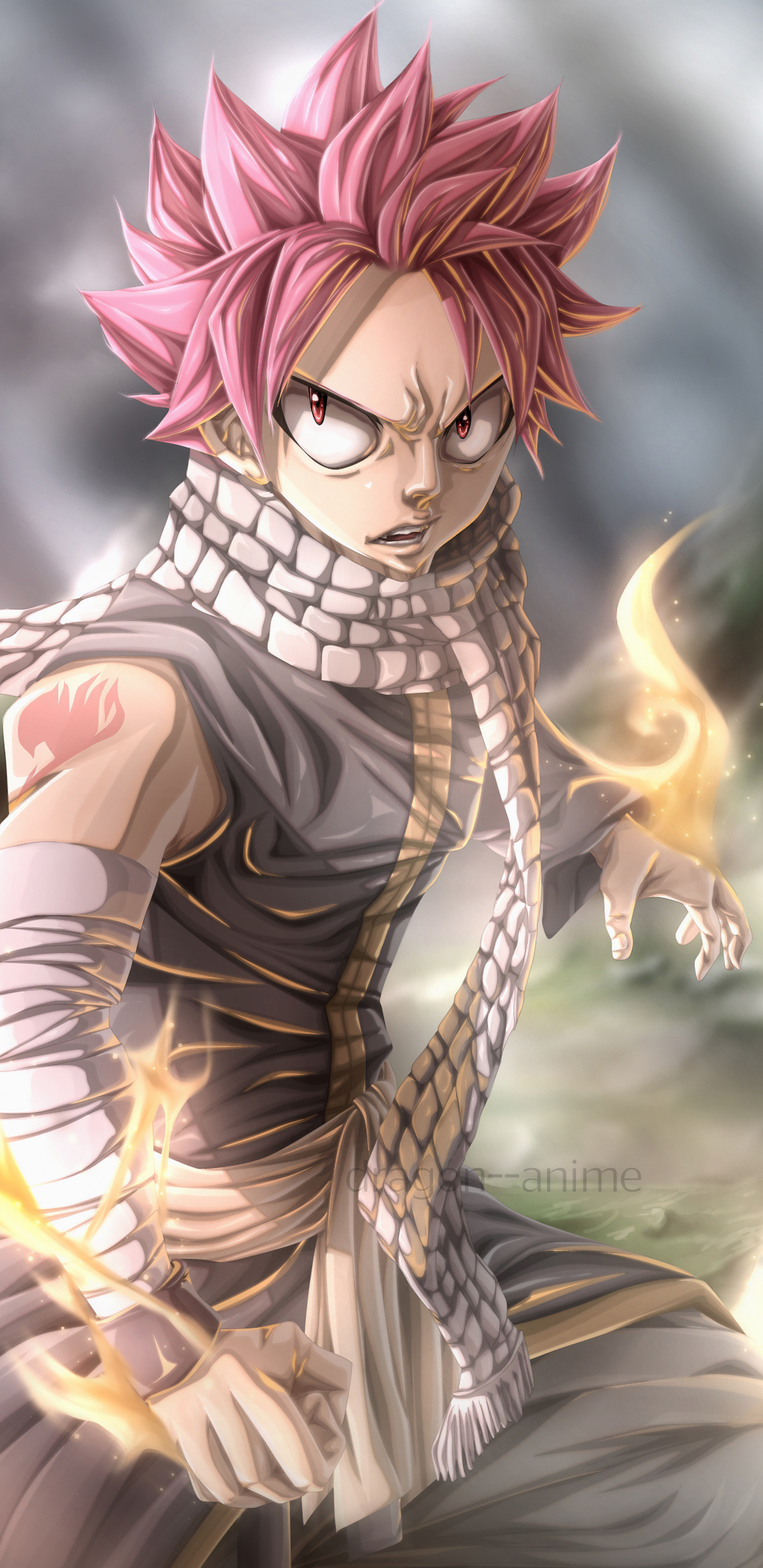 Natsu Dragneel, Fairy Tail anime, Samsung Galaxy, 1440x2960 HD Phone