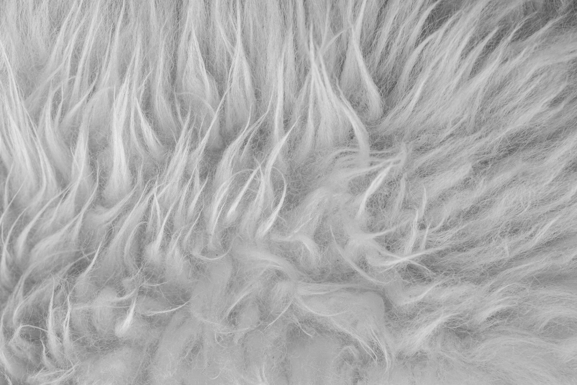 Faux fur texture, Soft and fluffy, Cozy fabric, Animal-friendly, 1920x1280 HD Desktop