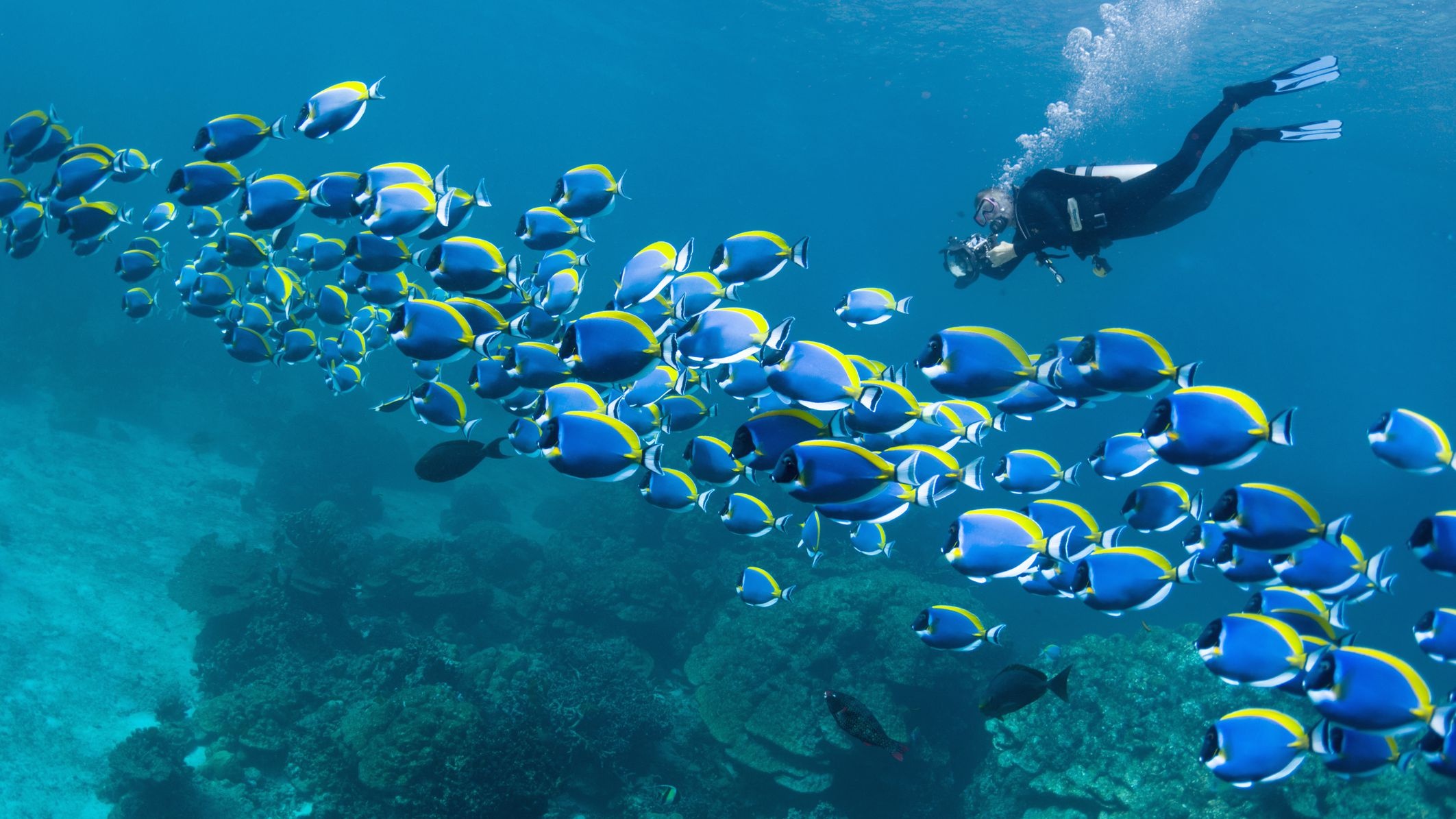 1 day diving, Sky red sea, Scuba diving experience, Underwater adventure, 2130x1200 HD Desktop