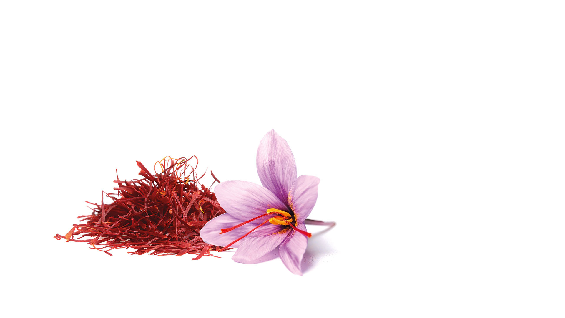 Saffron, Welcome Ziarat saffron, 1920x1080 Full HD Desktop