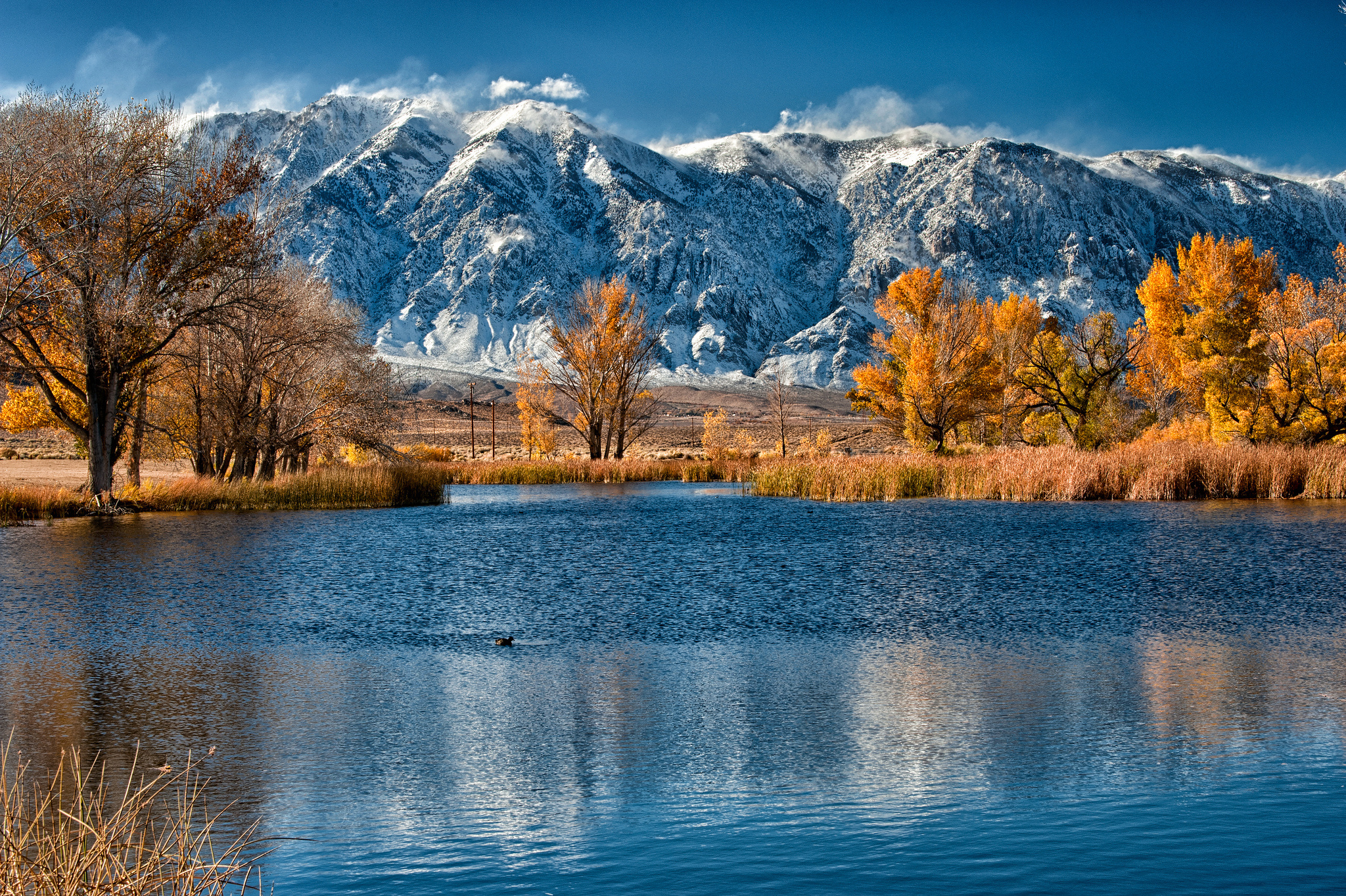 Autumn Trees, Golden Leaves, Mountain Lake, Serene Fall, Nature's Transition, 2050x1370 HD Desktop