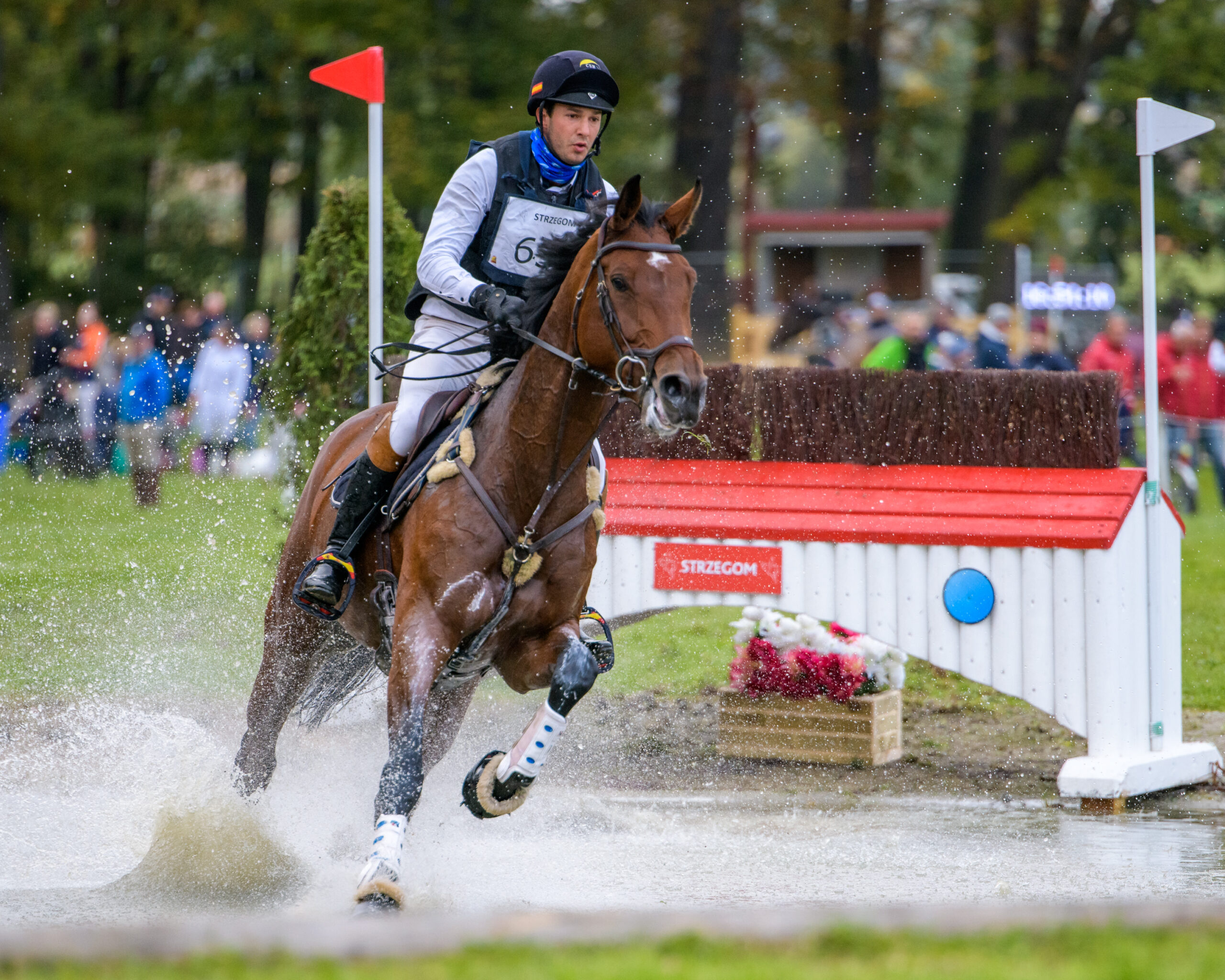 Equestrian season, Strzegom event, Valley equestrian, Horse show, 2560x2050 HD Desktop