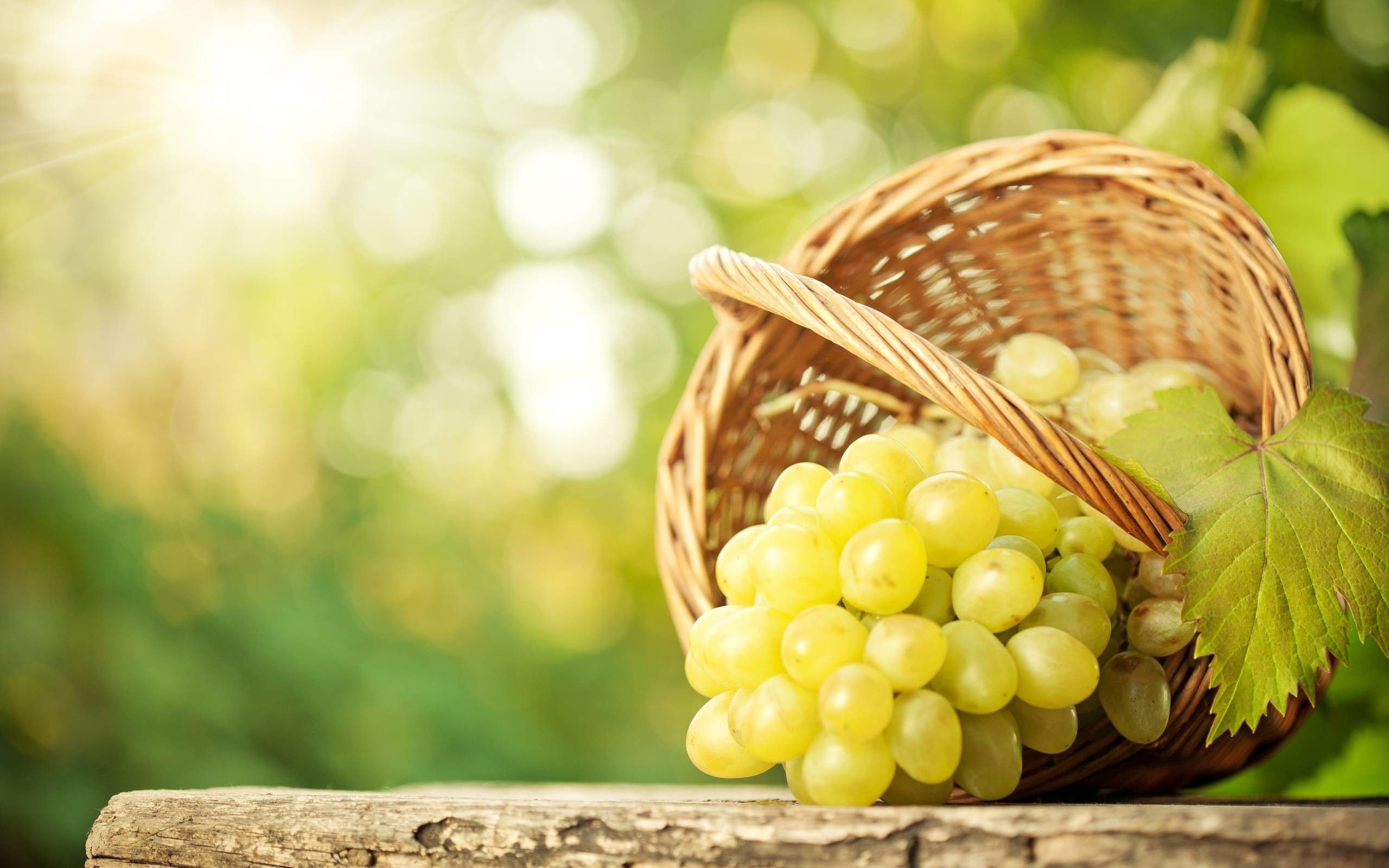 Grapes wallpapers, Beautiful backgrounds, Digital art, Visual delight, 2560x1600 HD Desktop