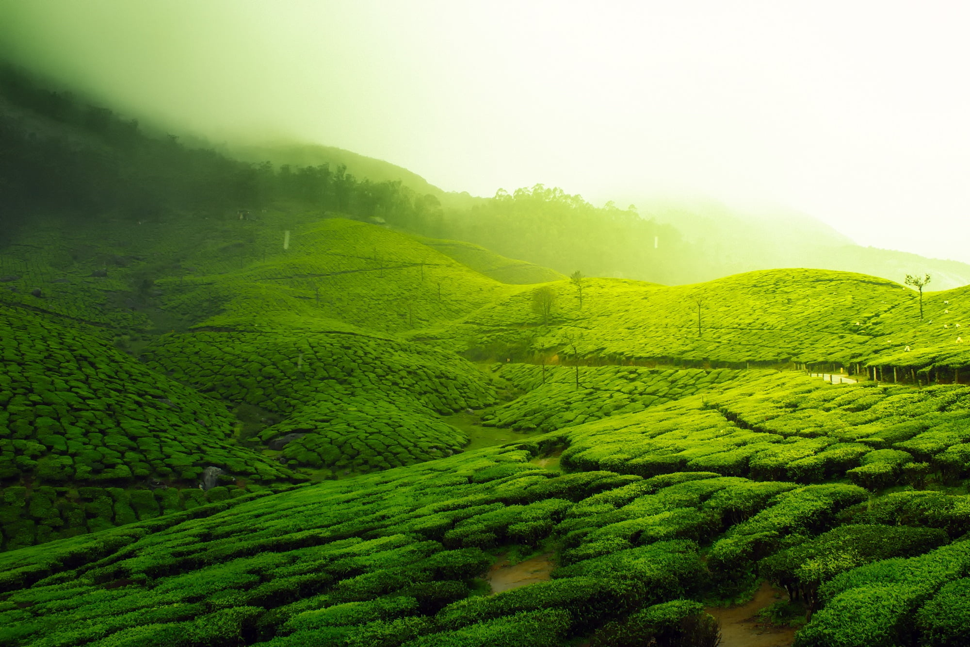 Landscape's charm, Green hills' beauty, HD wallpaper, Captivating imagery, 2000x1340 HD Desktop