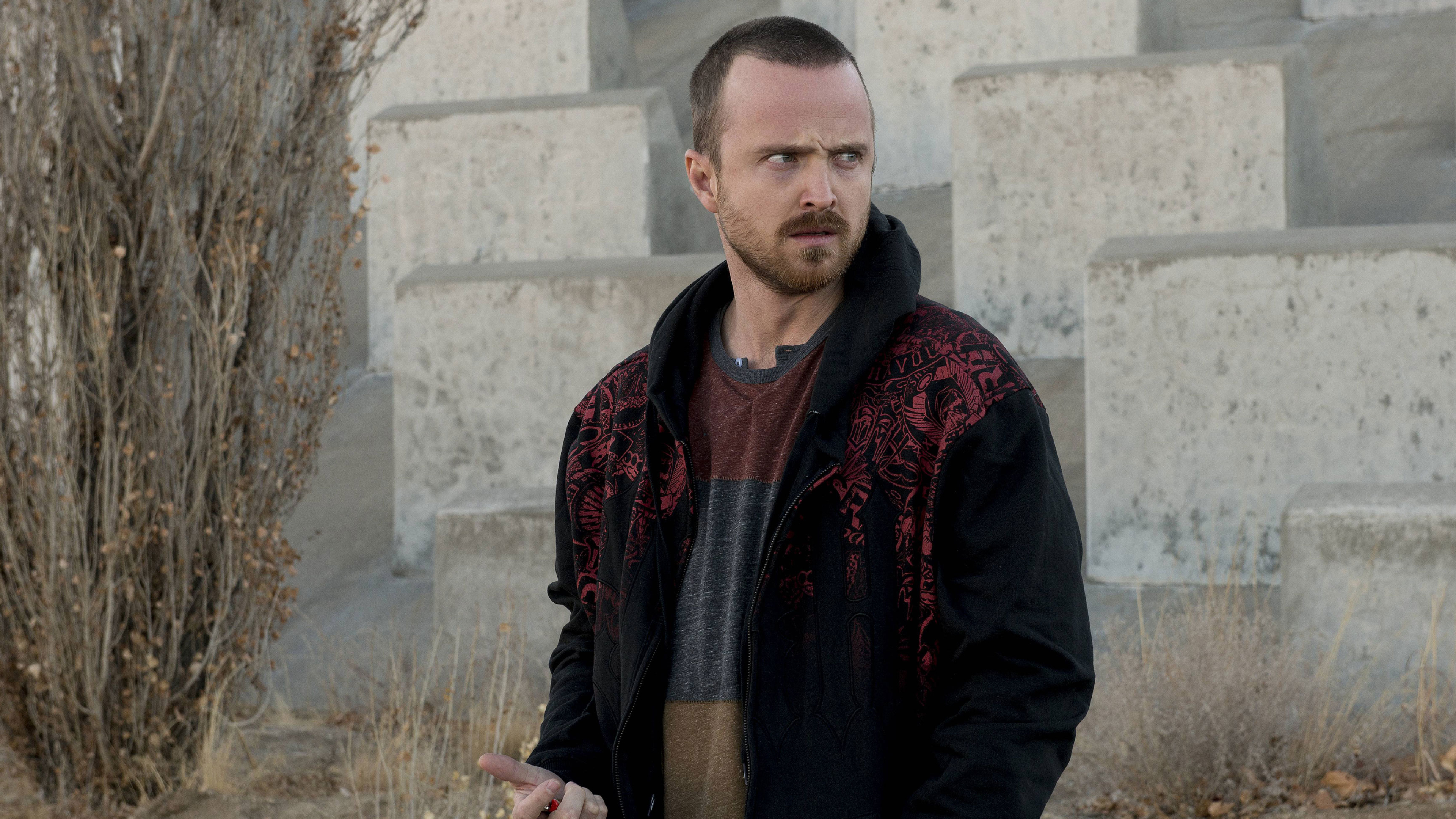 Jesse Pinkman, Aaron Paul, Breaking Bad, 4K Desktop wallpaper