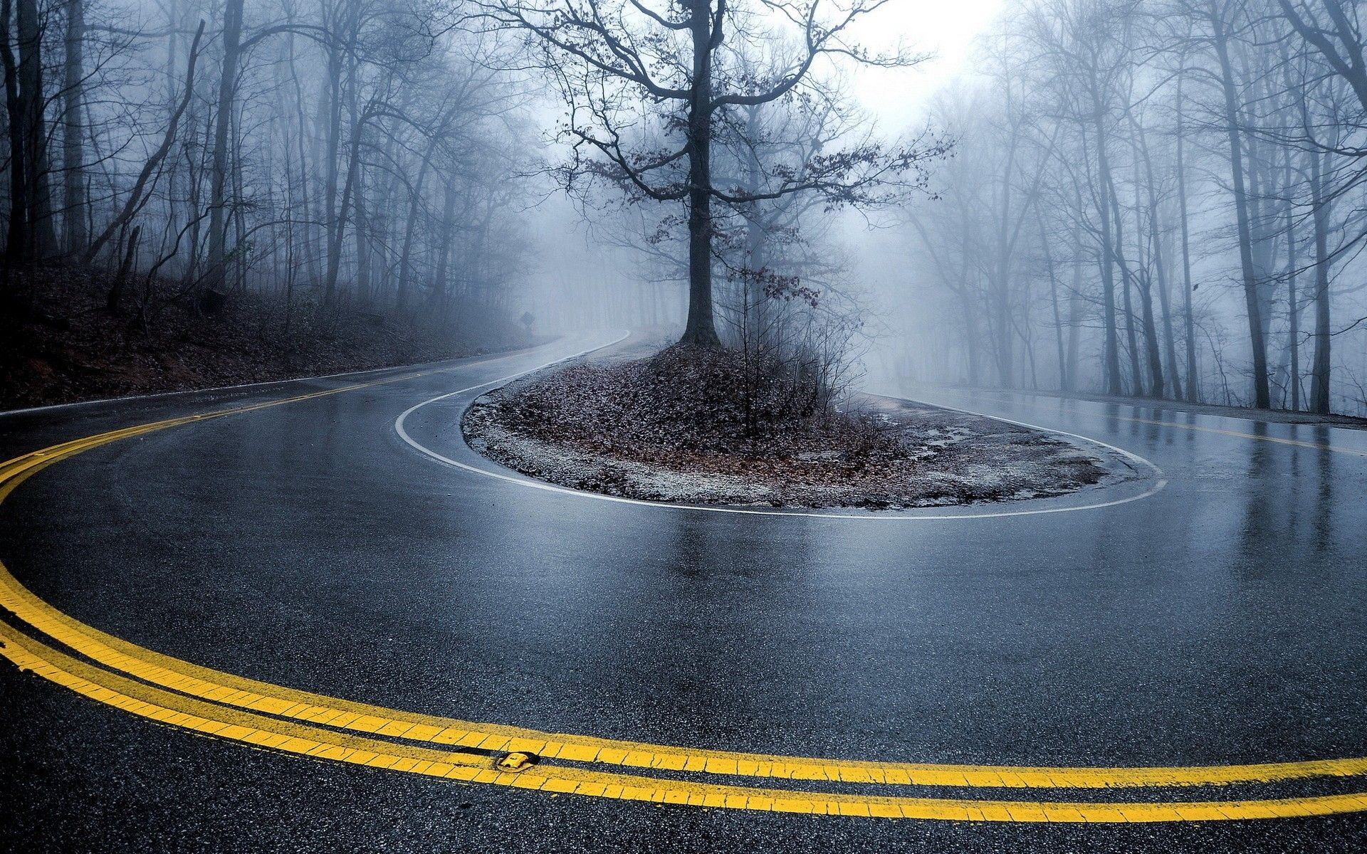 wet asphalt hairpin curve, foggy bare tree forest, double yellow road lines, HD Desktop wallpaper