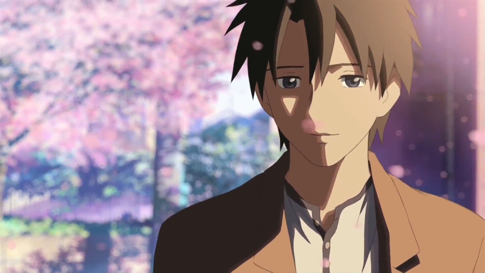 Takaki Tono, Falling cherry blossom petals, Blooming pink sakura background, Full HD Desktop wallpaper