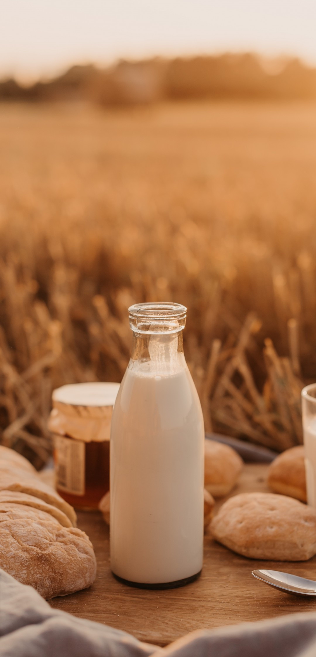 Morning milk bottle, Picnic delight, Fresh drink, Outdoor enjoyment, 1080x2240 HD Phone