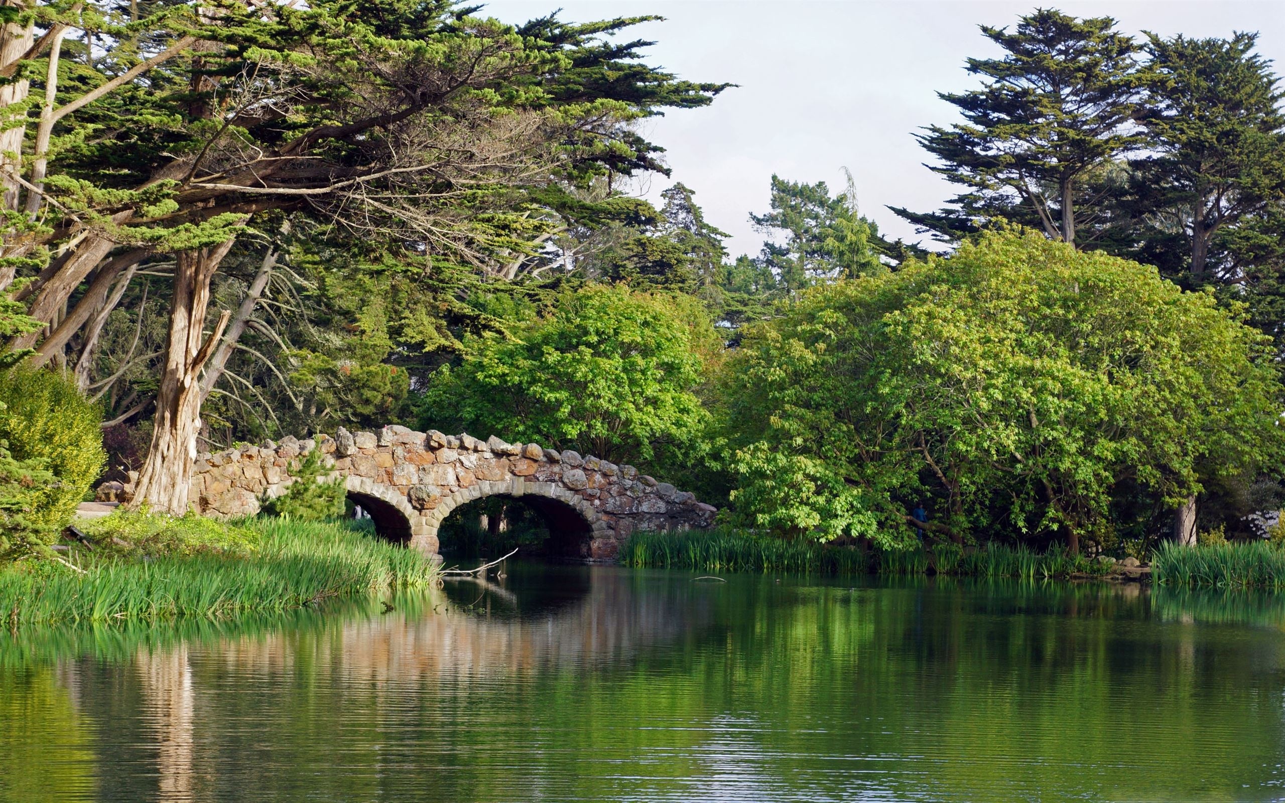 Golden Gate Park, Park wallpapers, Free HD download, Mac wallpapers, 2560x1600 HD Desktop