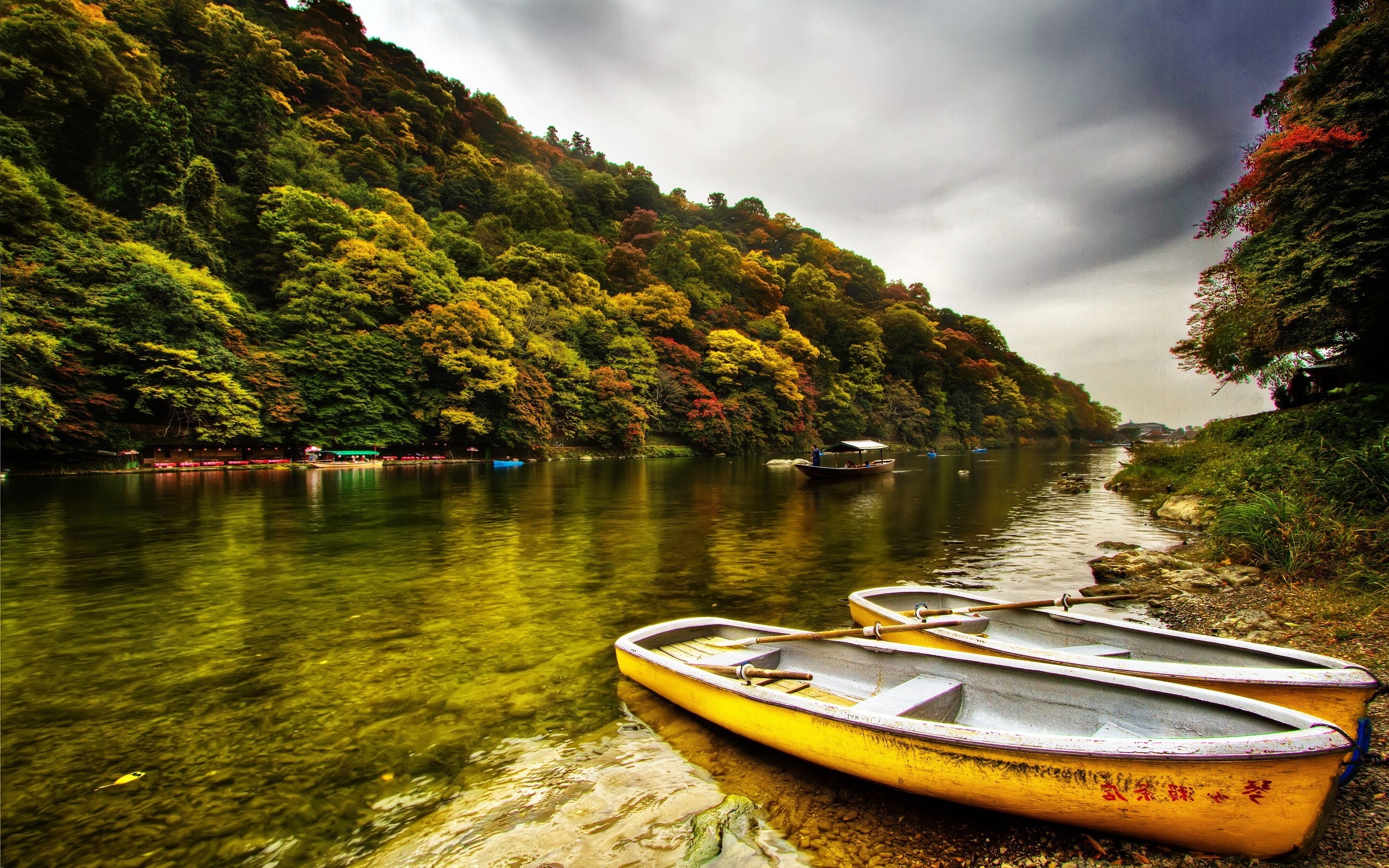 Boat travels, Nature river, Trees, 4K wallpaper, 2560x1600 HD Desktop