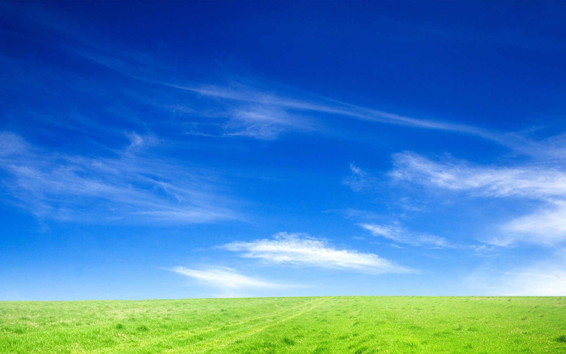 Bright blue sky, Green grass field, Wispy cirrus clouds, HD Desktop wallpaper
