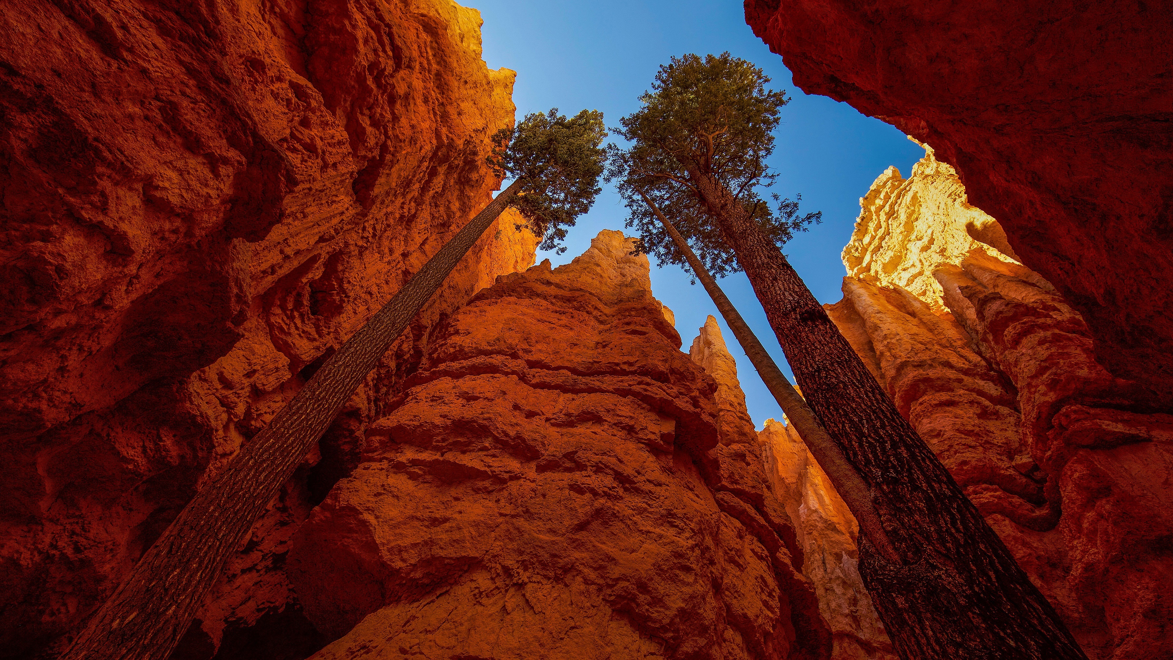 Bryce Canyon National Park, Wallpaper collection, Natural beauty, Scenic landscapes, 3840x2160 4K Desktop