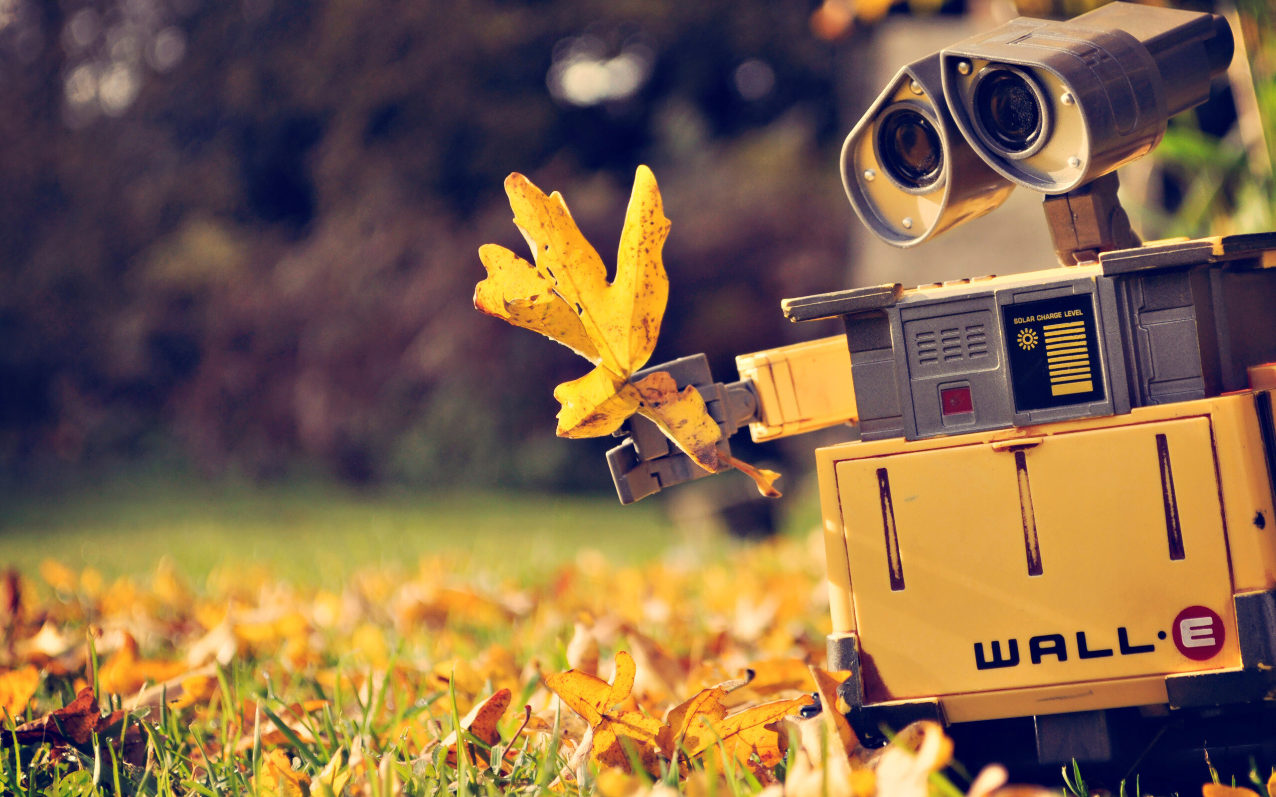 WALLE, Robot companion, Space adventure, Cinemania, 2560x1600 HD Desktop