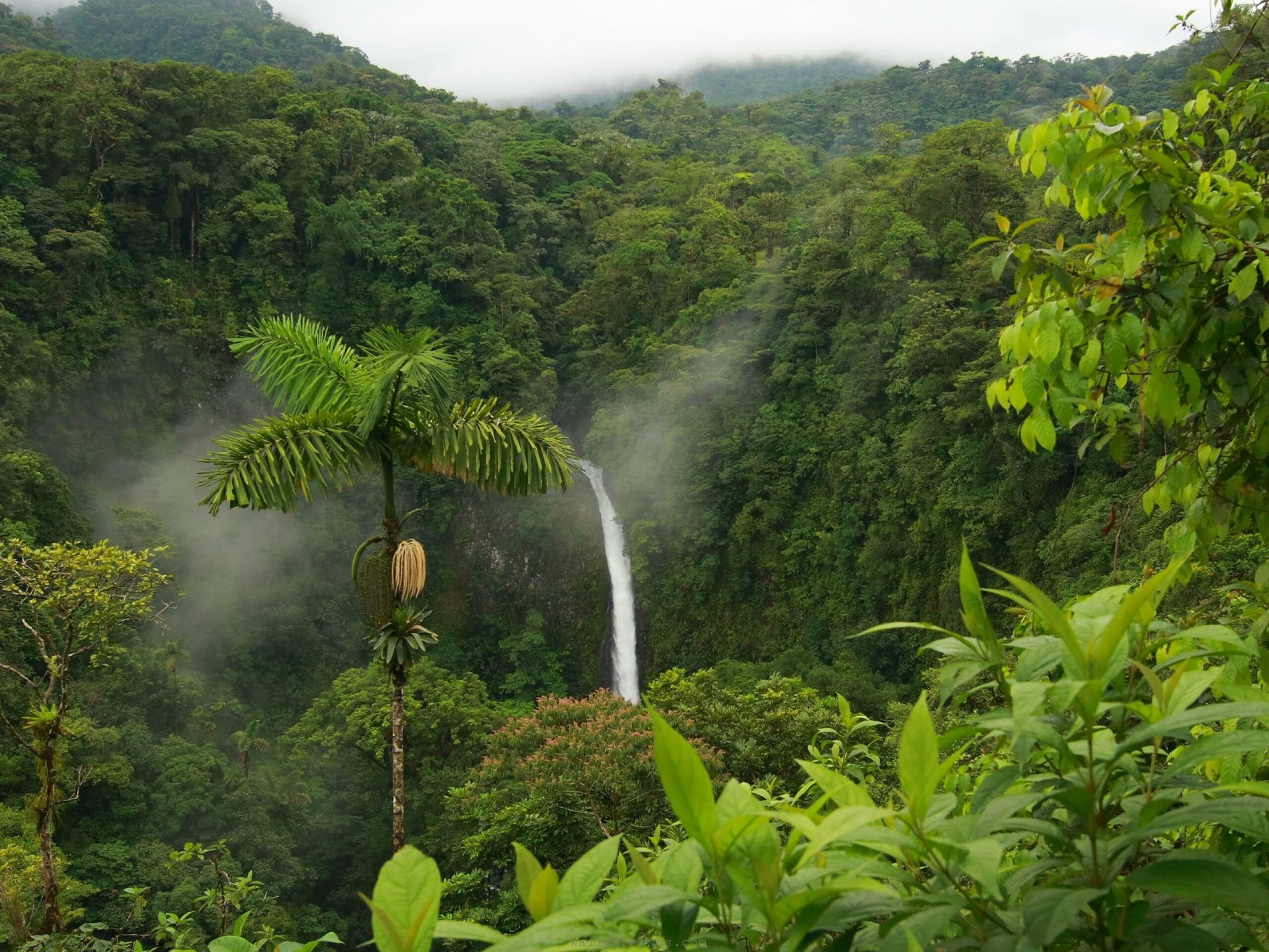 La Fortuna waterfall, Jungles Wallpaper, 2560x1920 HD Desktop