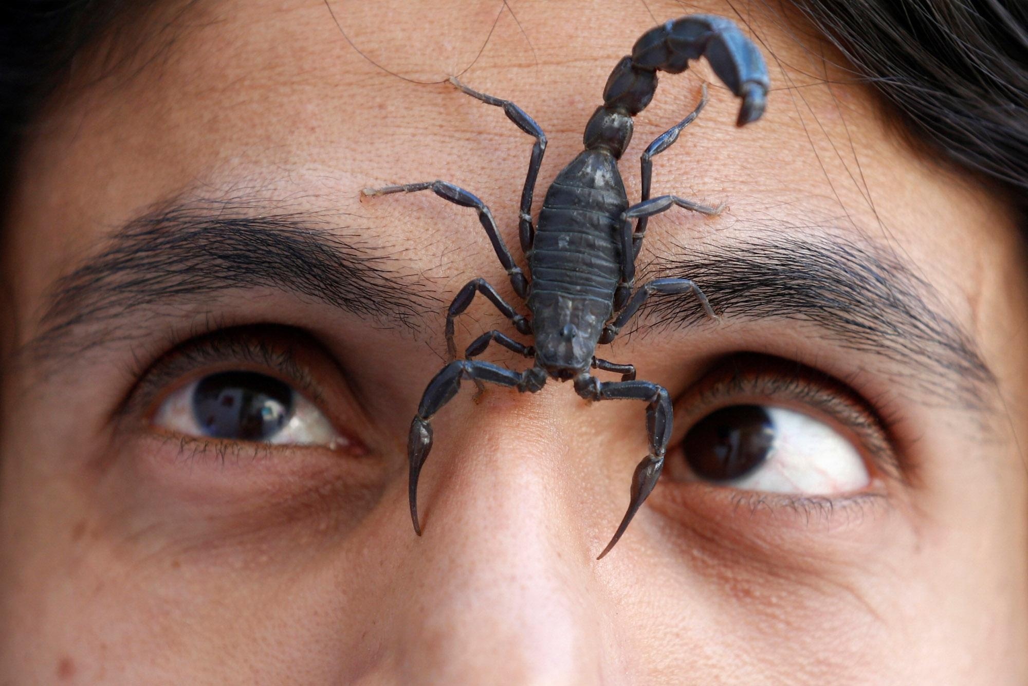 Scorpion and woman, Mysterious connection, Surreal wallpaper, Enigmatic duo, 2000x1340 HD Desktop