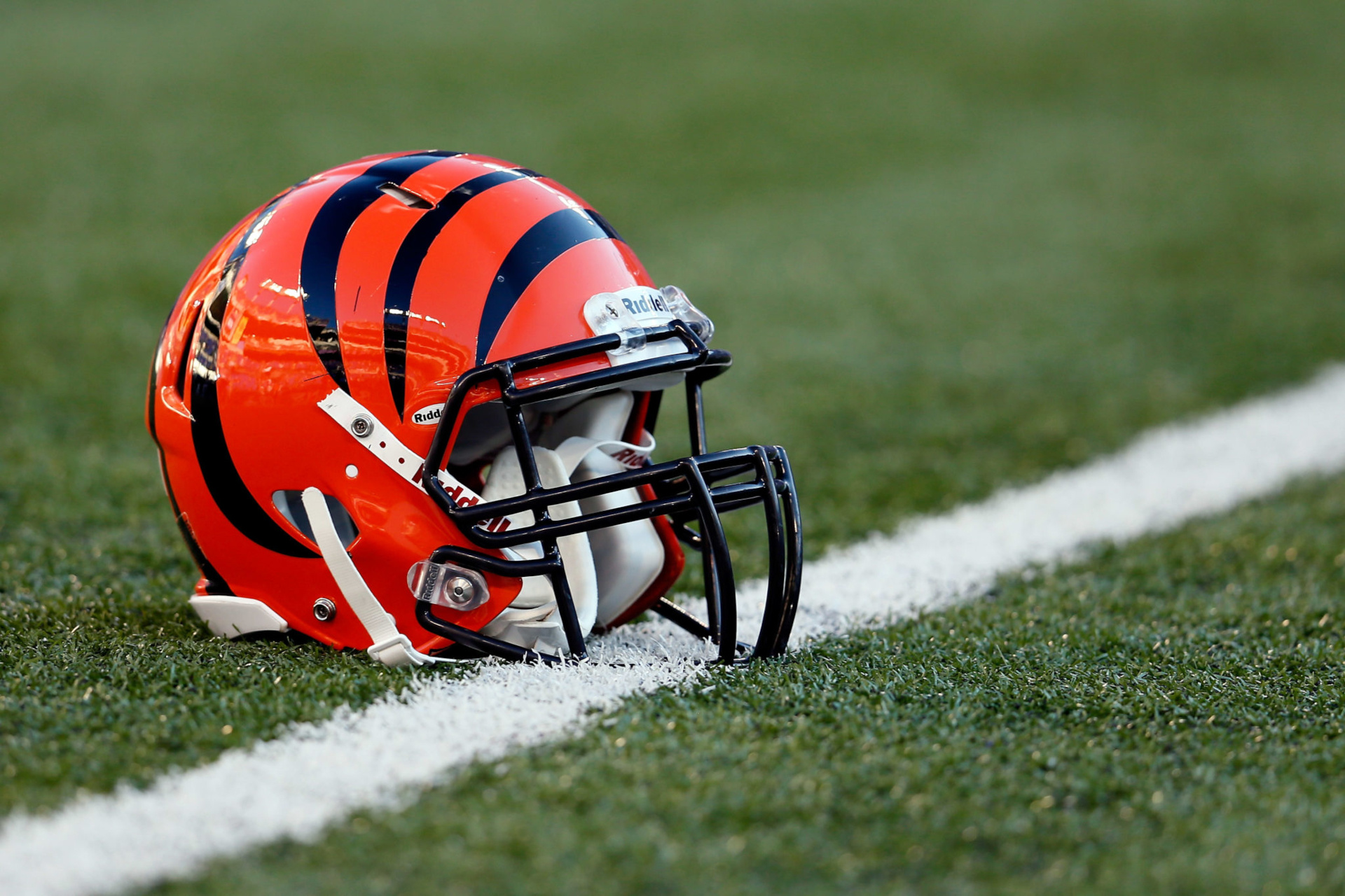 Cincinnati Bengals, HD wallpaper, Team's fierce presence, 1920x1280 HD Desktop