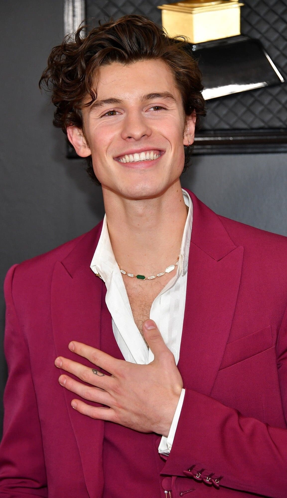 Grammy Awards 2020, Shawn Mendes Wallpaper, 1160x2000 HD Phone