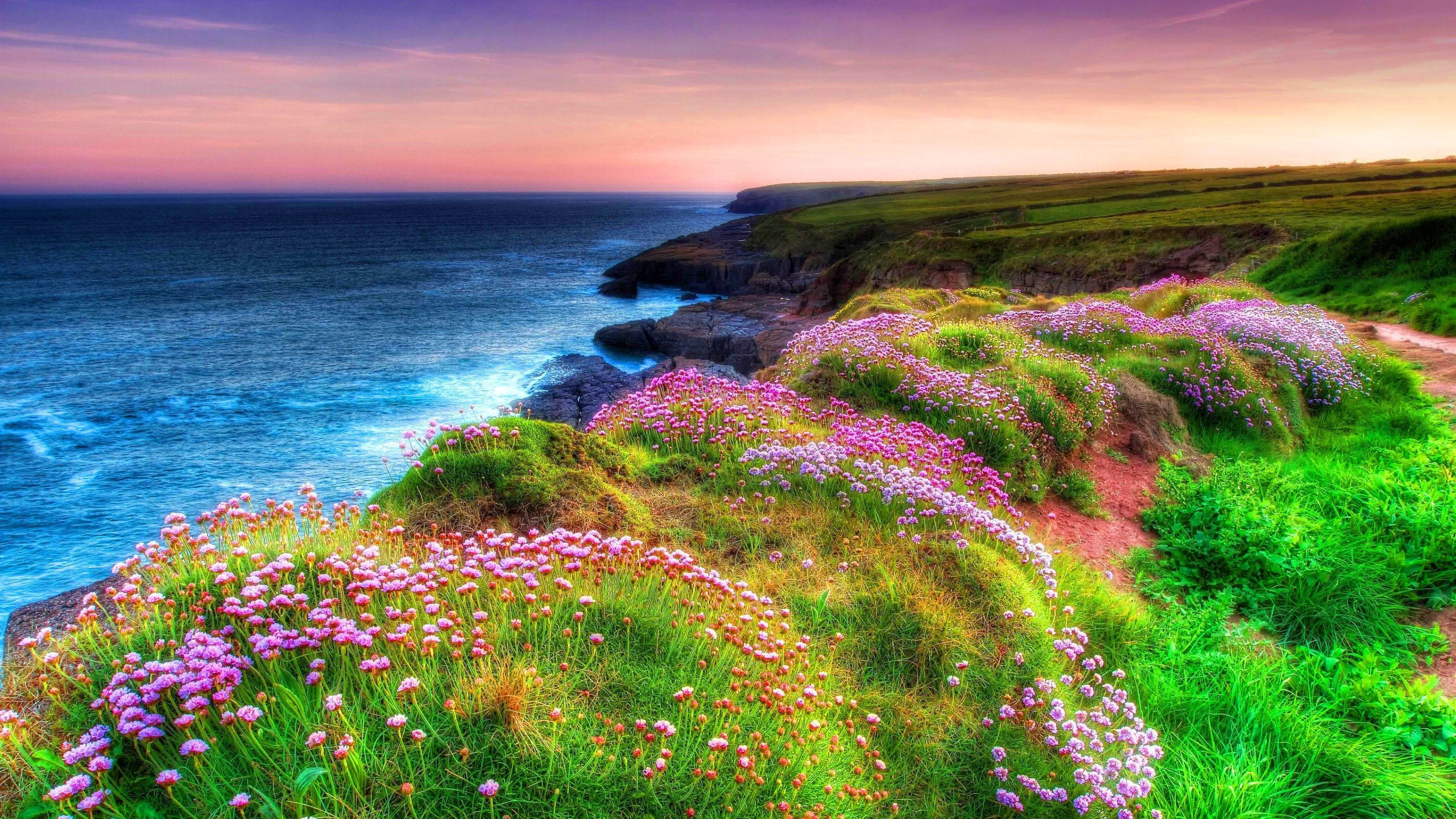 Irish countryside wallpapers, Stunning landscapes, Captivating views, Serene beauty, 3840x2160 4K Desktop