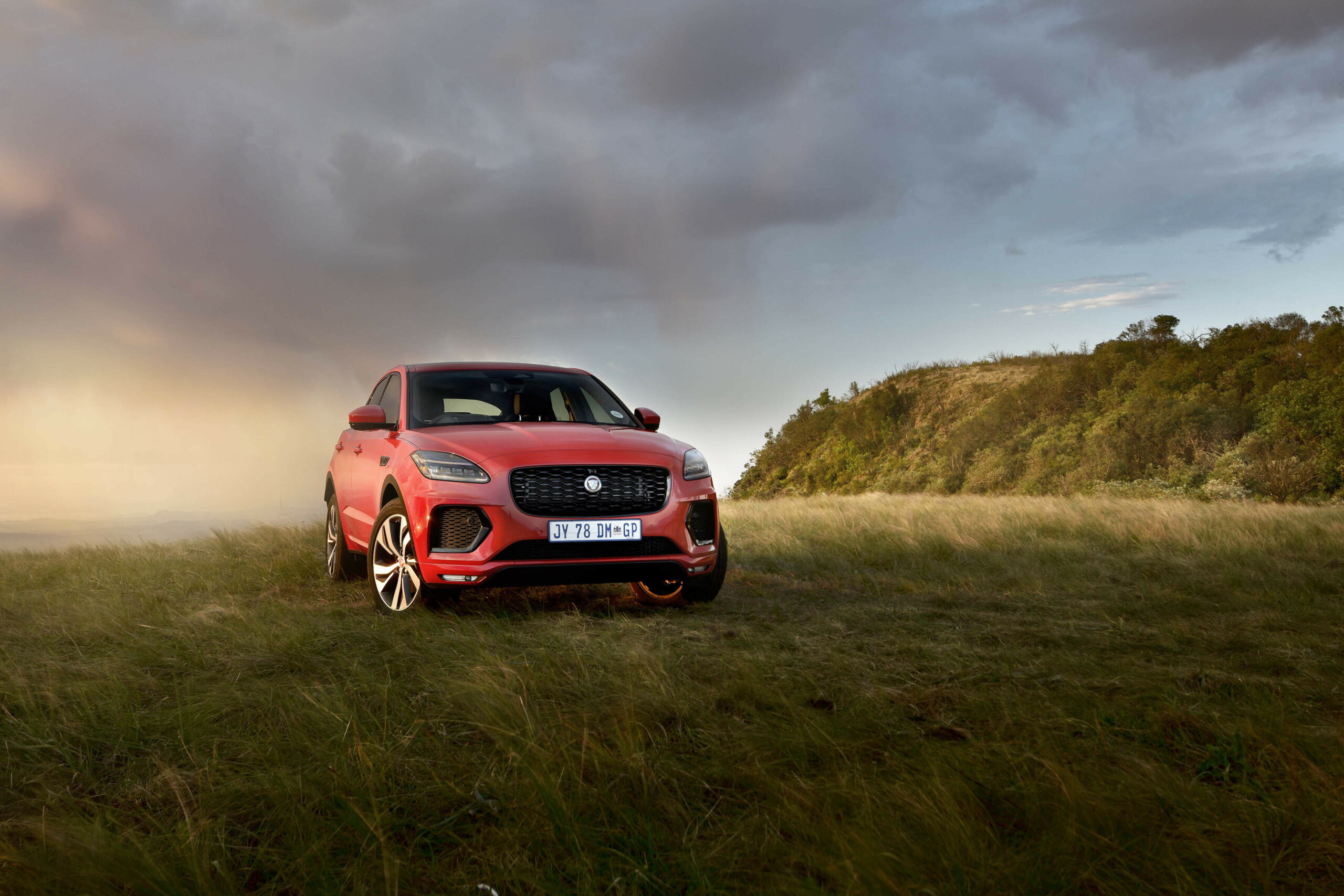 Jaguar E-PACE, Small cat's wilderness, Mail & Guardian, Into the wild, 2560x1710 HD Desktop