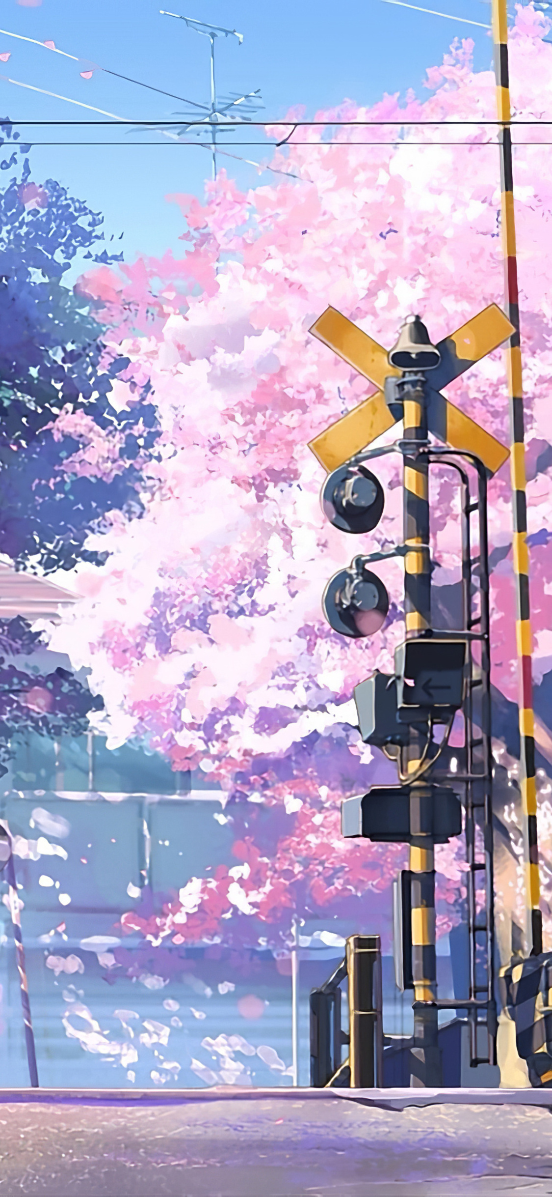 5 Centimeters per Second, Japanese railroad crossing signal, Blooming cherry blossom petals, HD Phone wallpaper