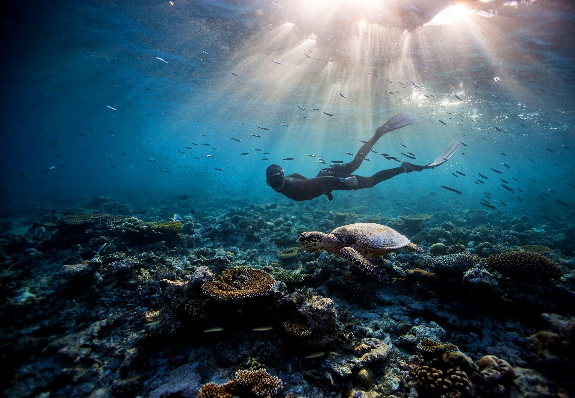 Freediving, Sports,Koh Samui Adventure,Silent Divers, 1920x1330 HD Desktop