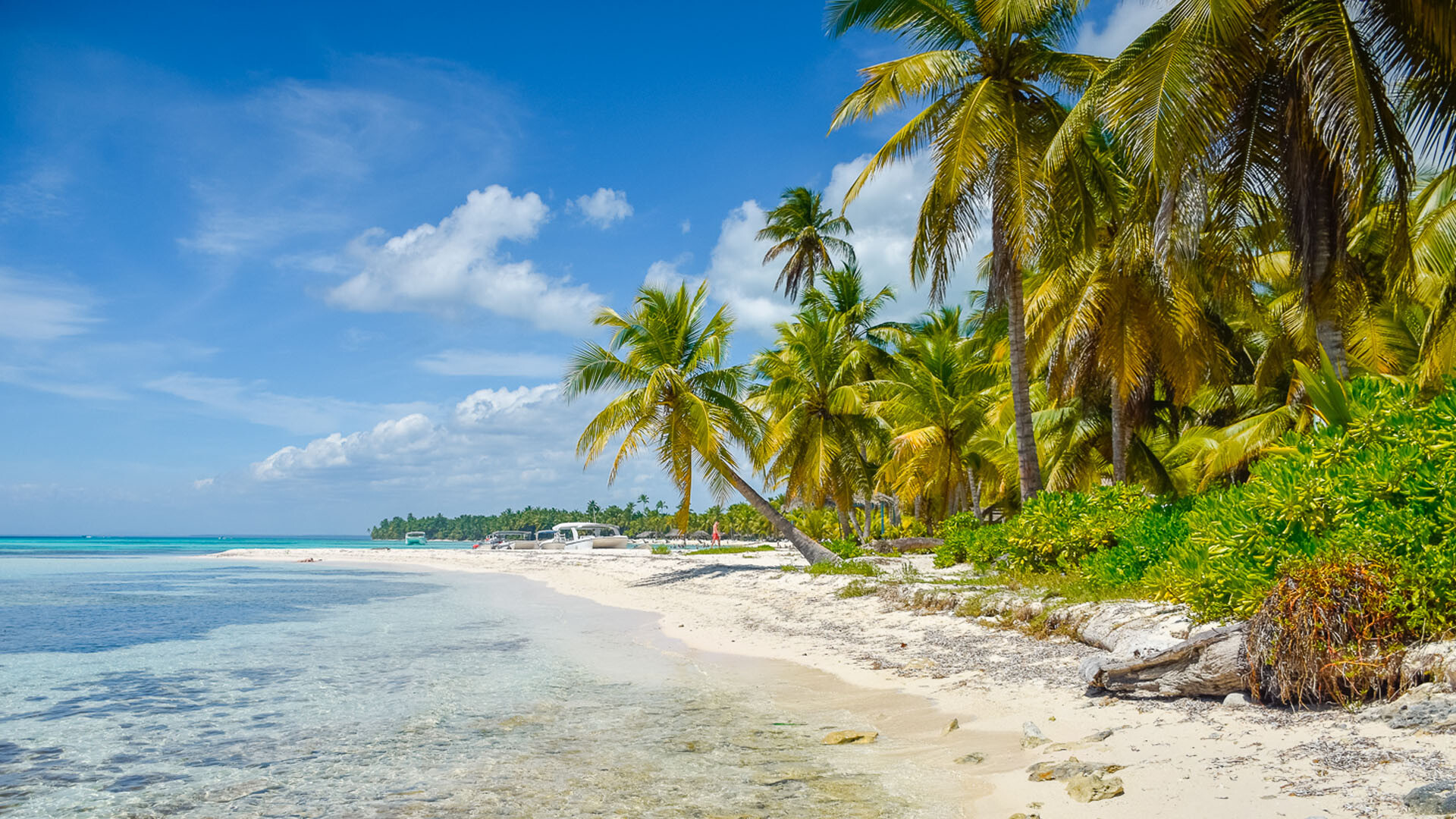 Sandy beach in Dominican Republic, Caribbean paradise, 1920x1080 Full HD Desktop