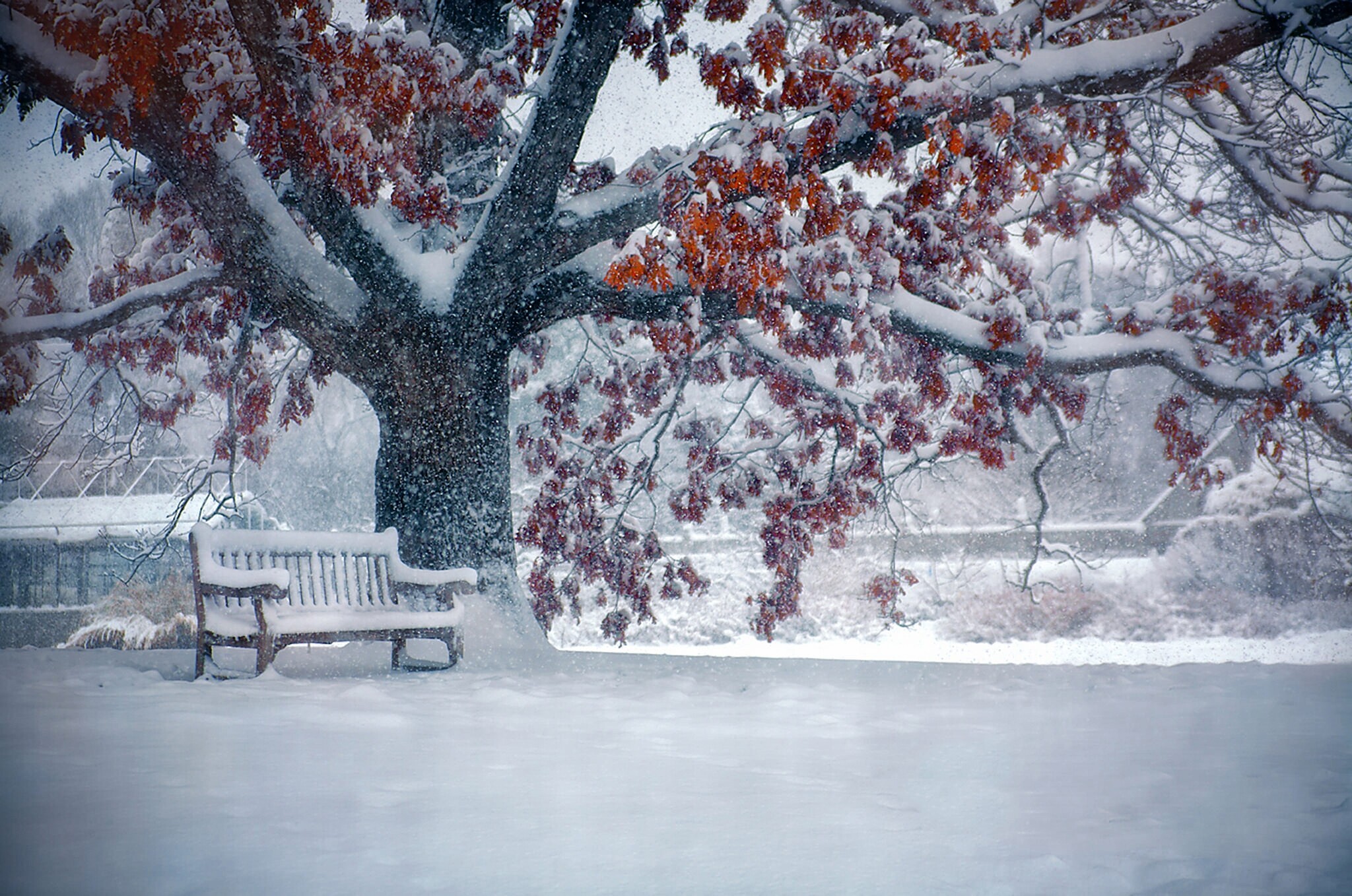 Snowfall wallpapers, 2048 x 1358, 2050x1360 HD Desktop