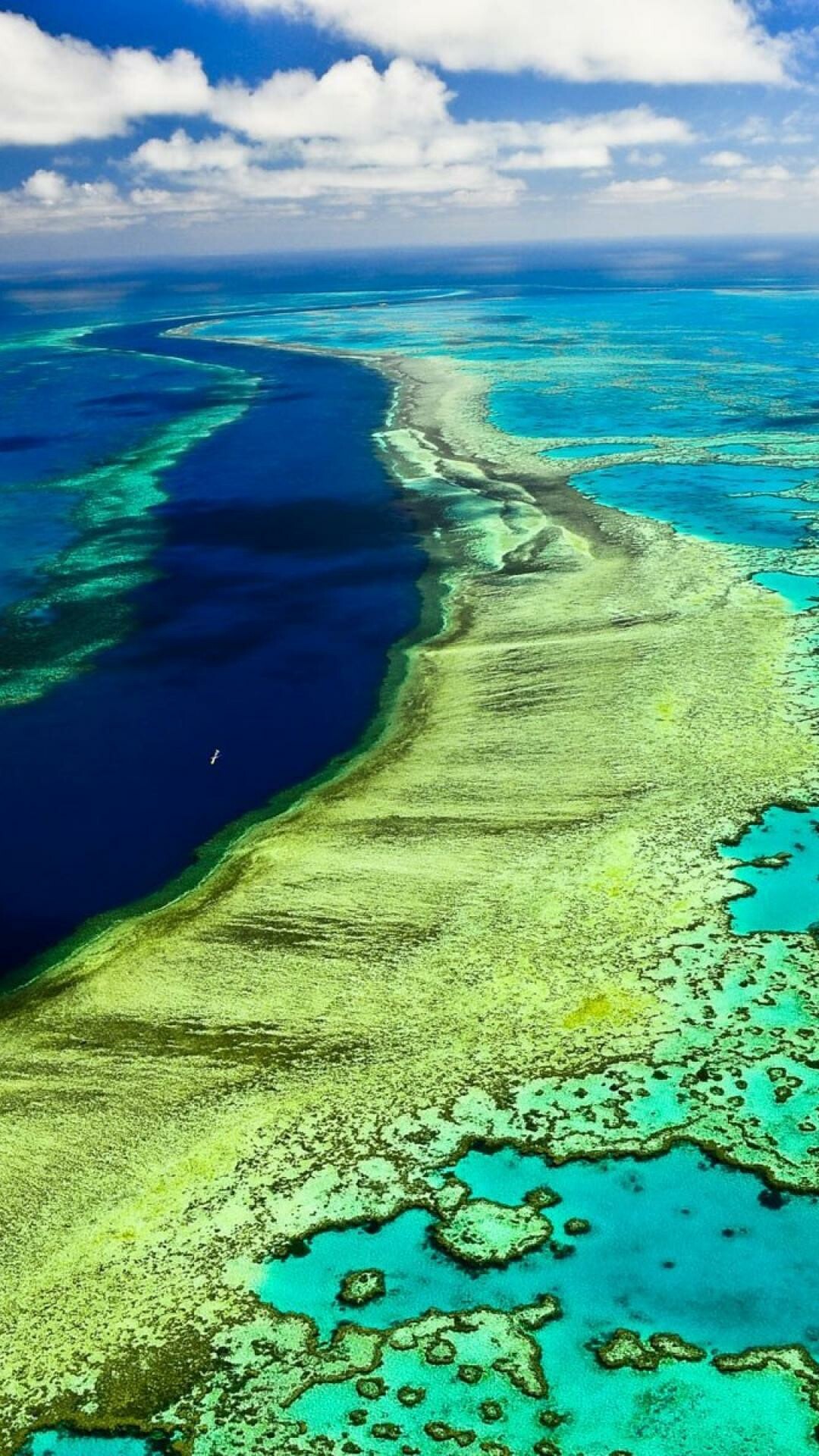 Great Barrier Reef, Stunning wallpapers, Mesmerizing beauty, Natural wonder, 1080x1920 Full HD Phone