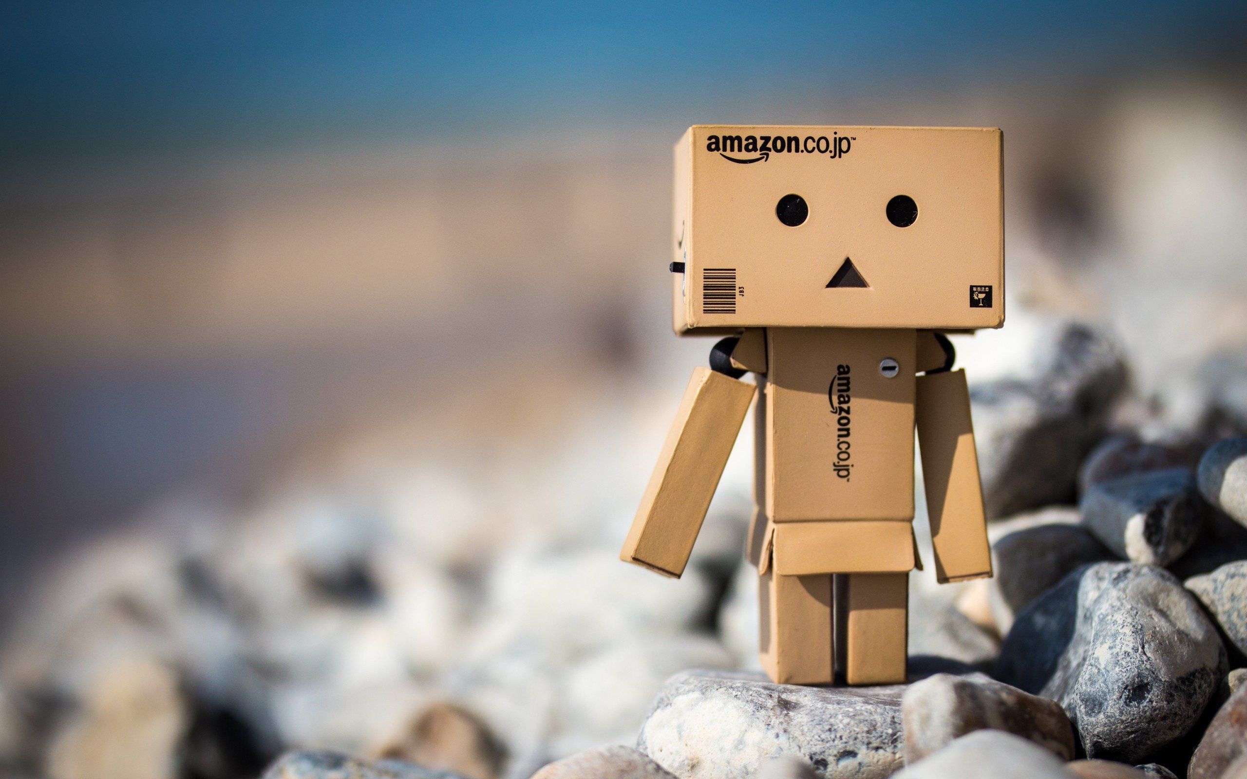 Cute robot box, Danbo robot, Amazon box, Wallpaper, 2560x1600 HD Desktop