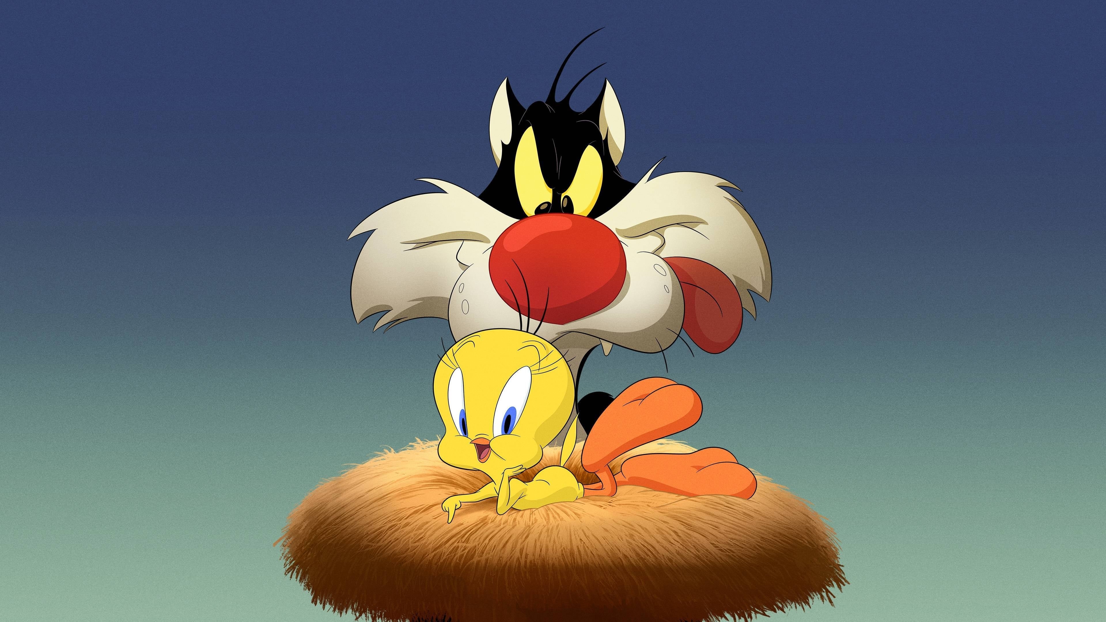 Sylvester and Tweety, Looney Tunes Characters Wallpaper, 3840x2160 4K Desktop