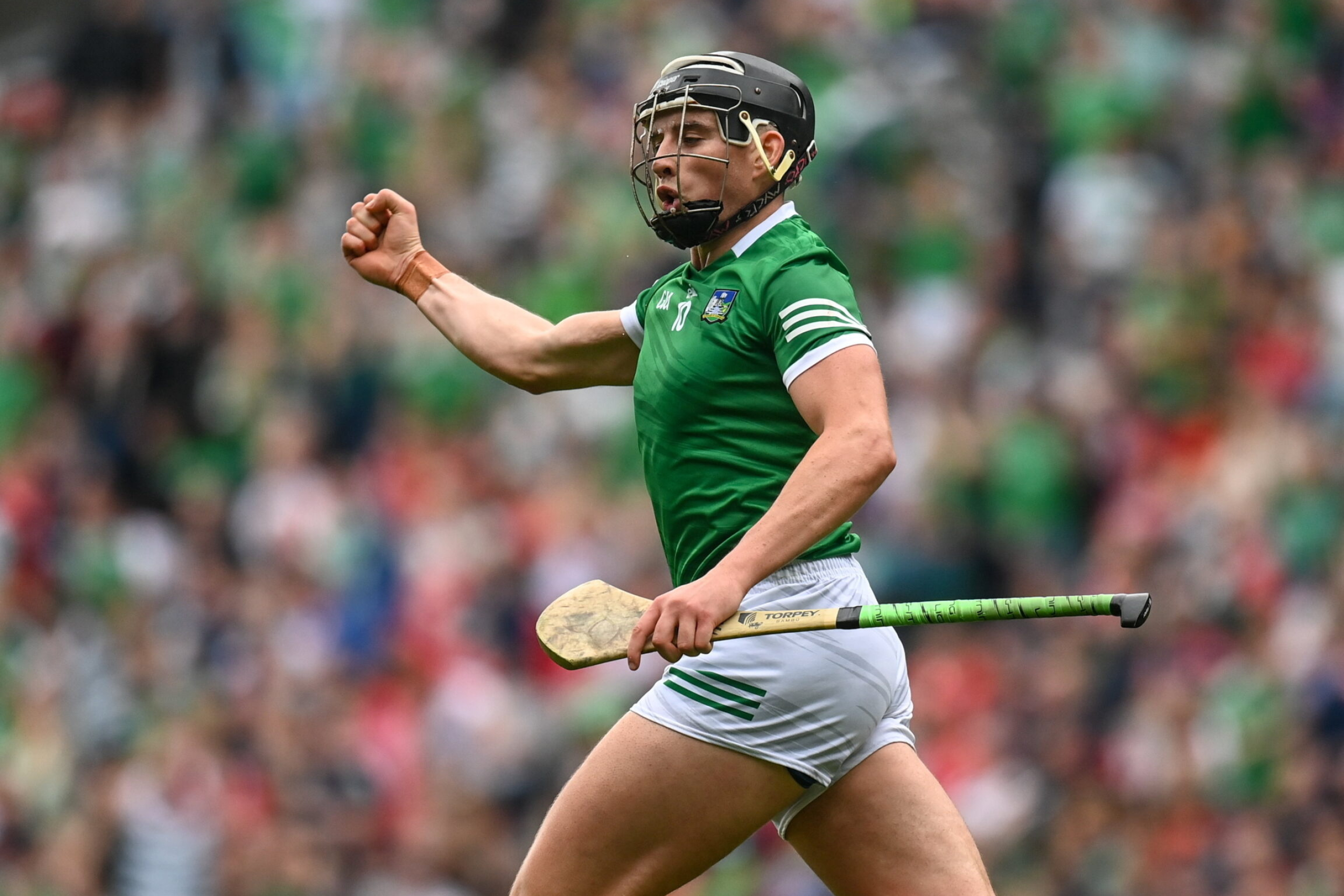 Gearoid Hegarty, Hurling Wallpaper, 2560x1710 HD Desktop