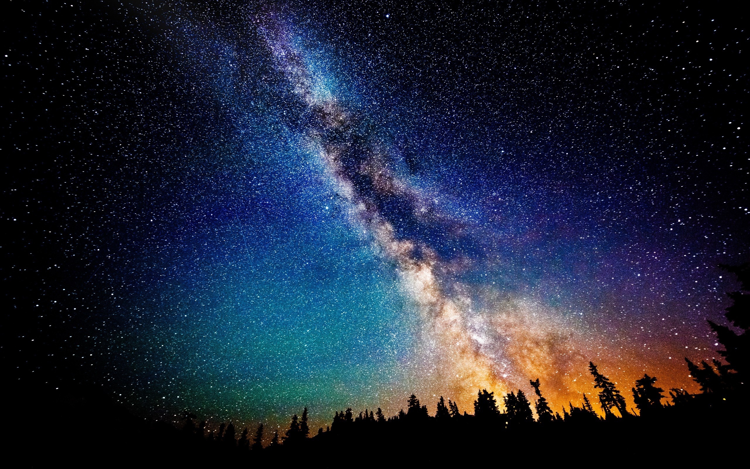 Milky Way galaxy, pine forest silhouette, dense starry sky, HD Desktop wallpaper