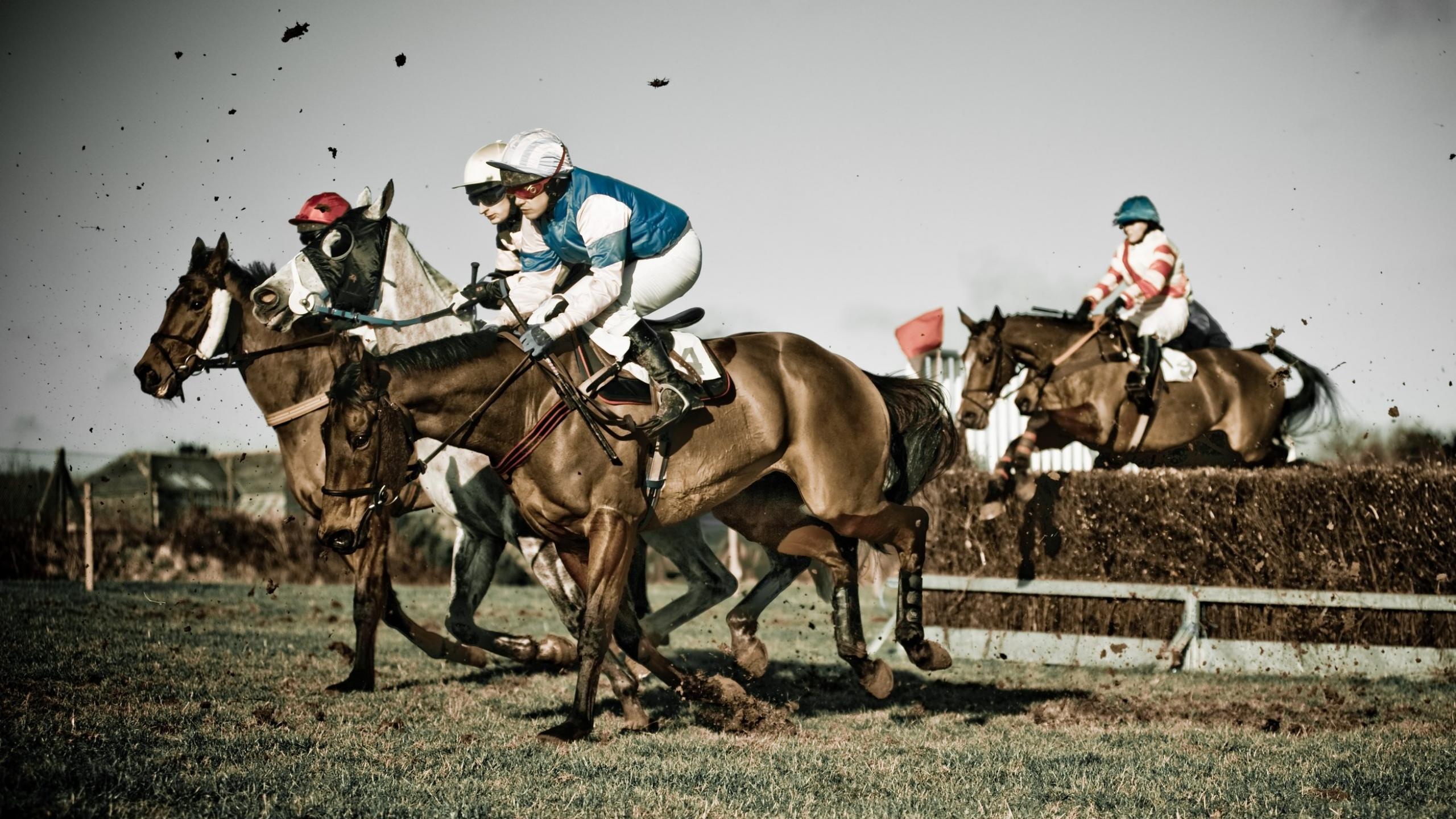 Horse Racing Wallpapers 2560x1440