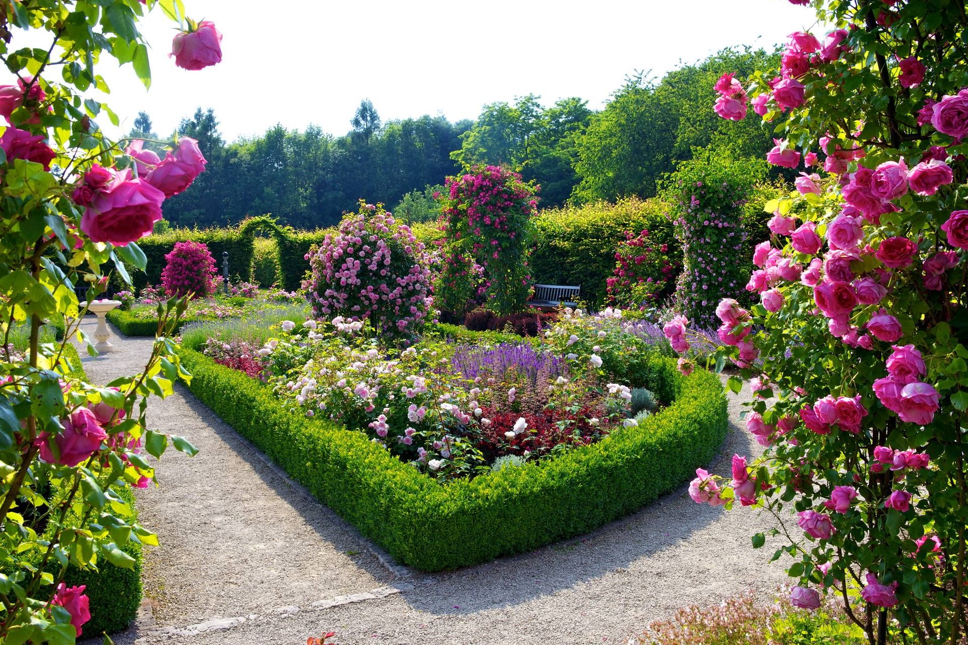 Rosarium, Flower Garden Wallpaper, 1920x1280 HD Desktop