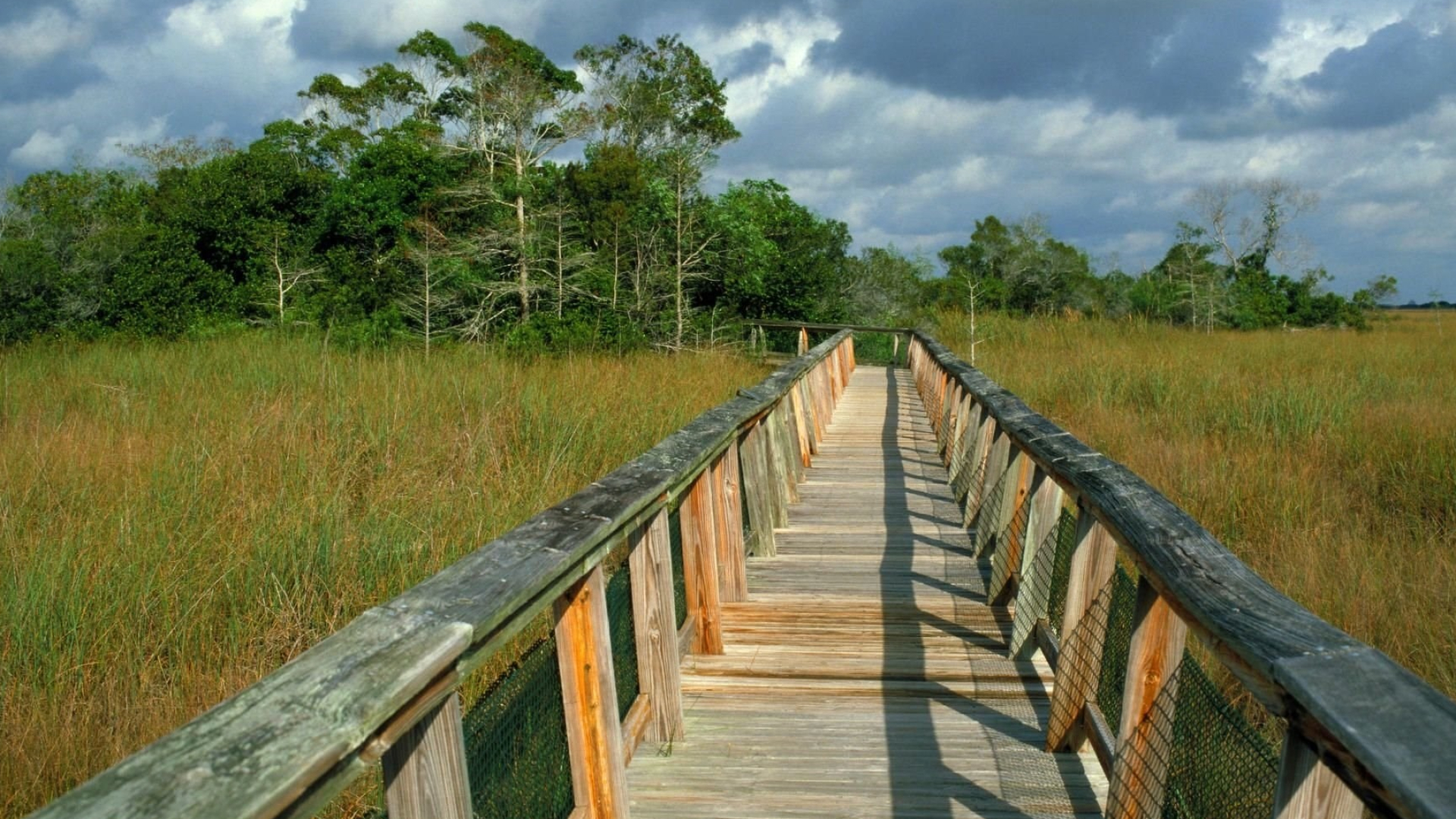 Everglades National Park, Stunning wallpapers, Breathtaking visuals, Nature's wonder, 1920x1080 Full HD Desktop