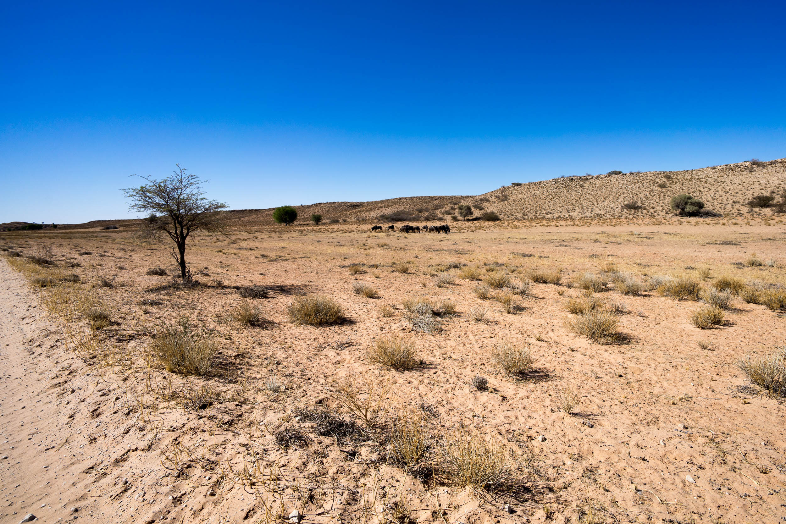 Botswana, Unsere Pfade, Adventure trails, Unique experiences, 2500x1670 HD Desktop